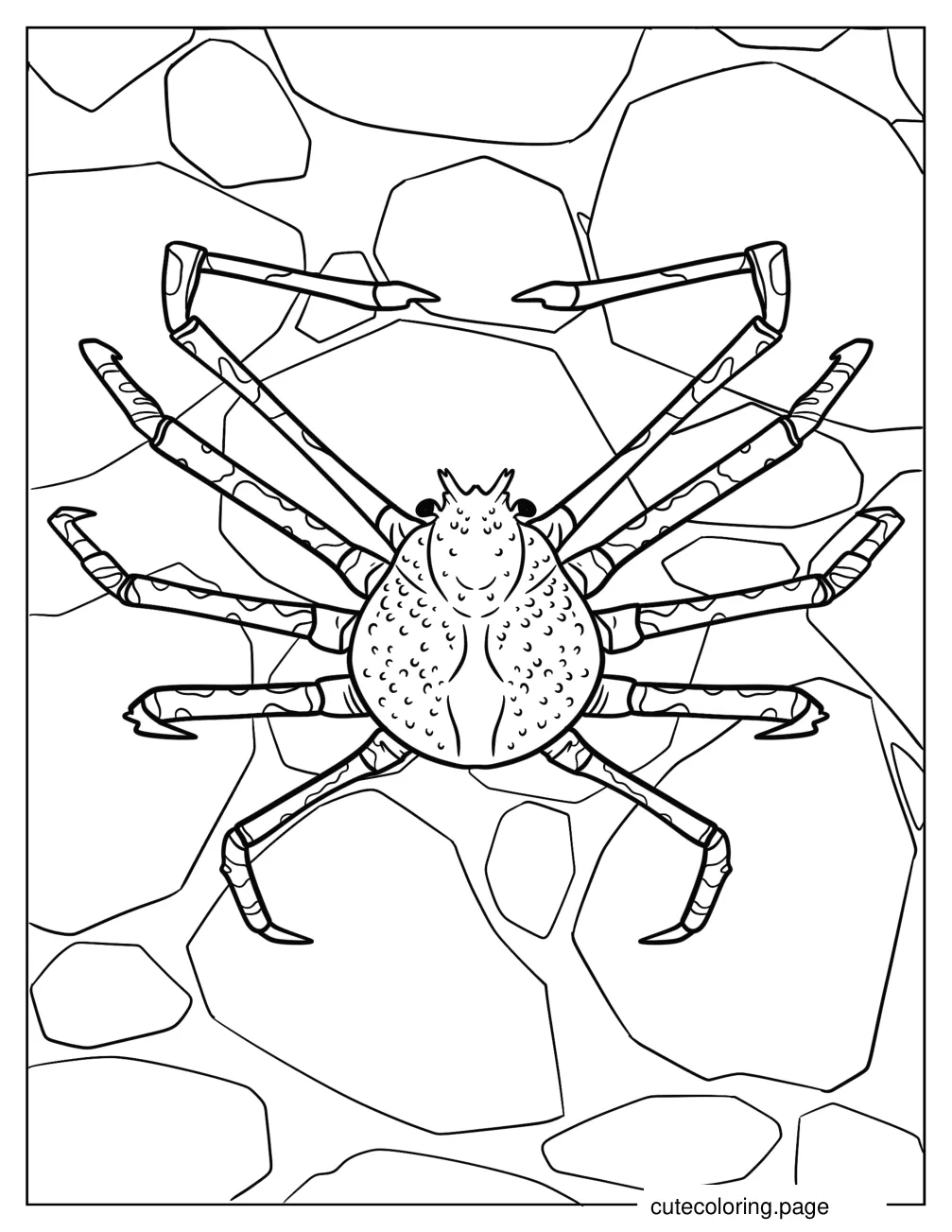 Spider Crab On Rocks Coloring Page coloring page