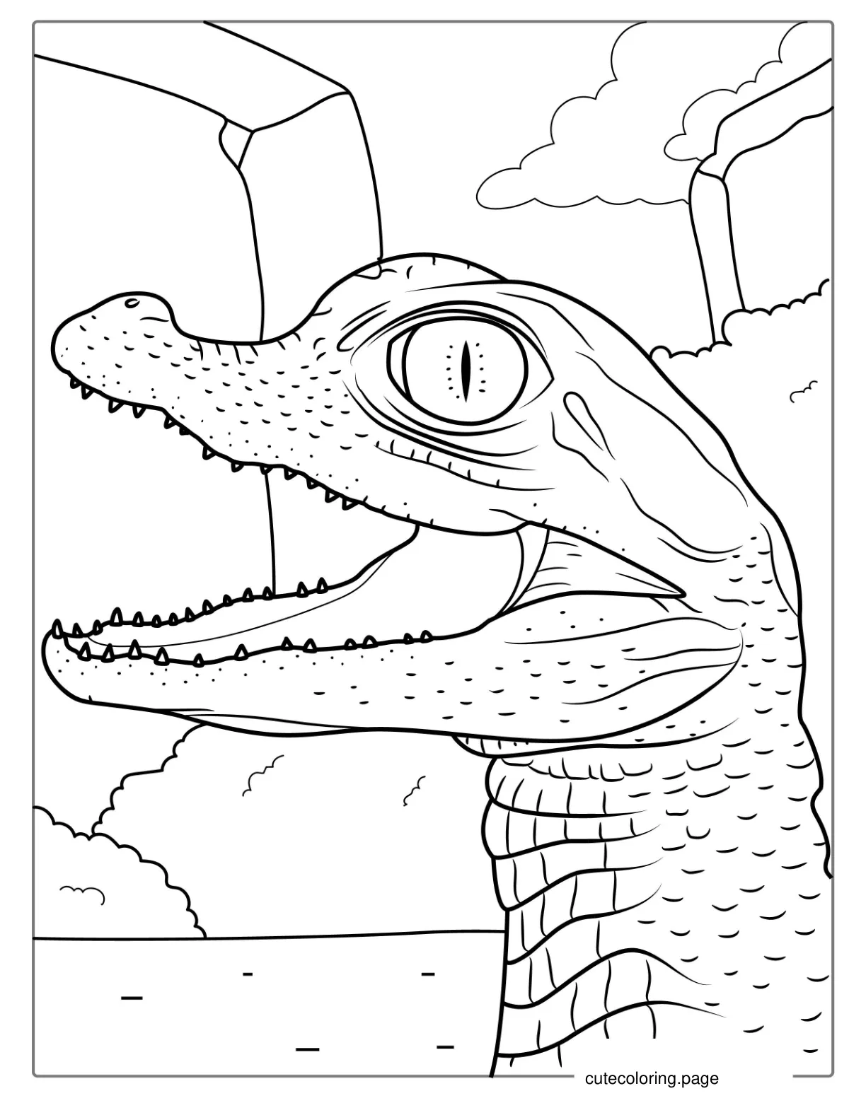 Baby Crocodile Coloring Page For Kids coloring page