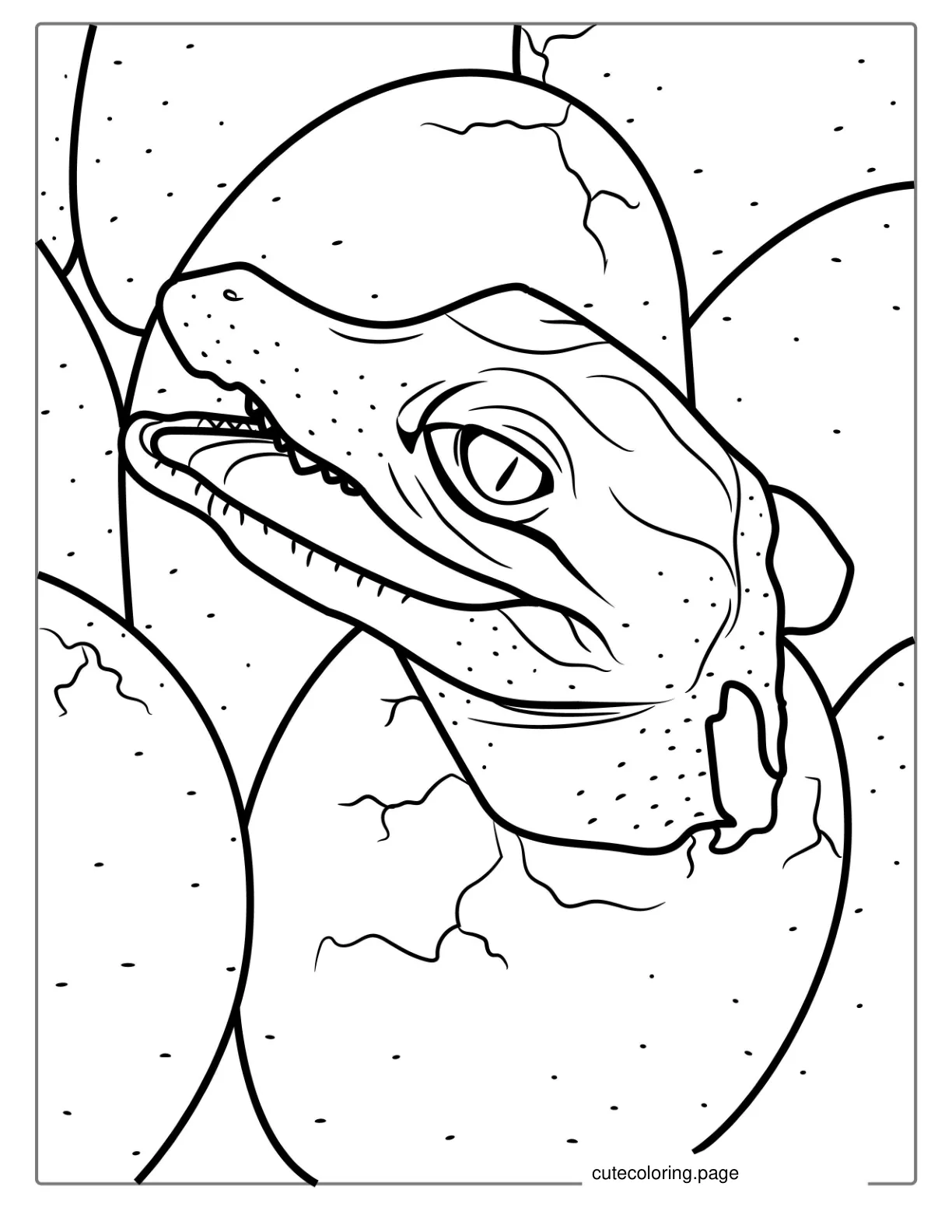 Coloring Page Of Baby Crocodile Hatching From Egg coloring page