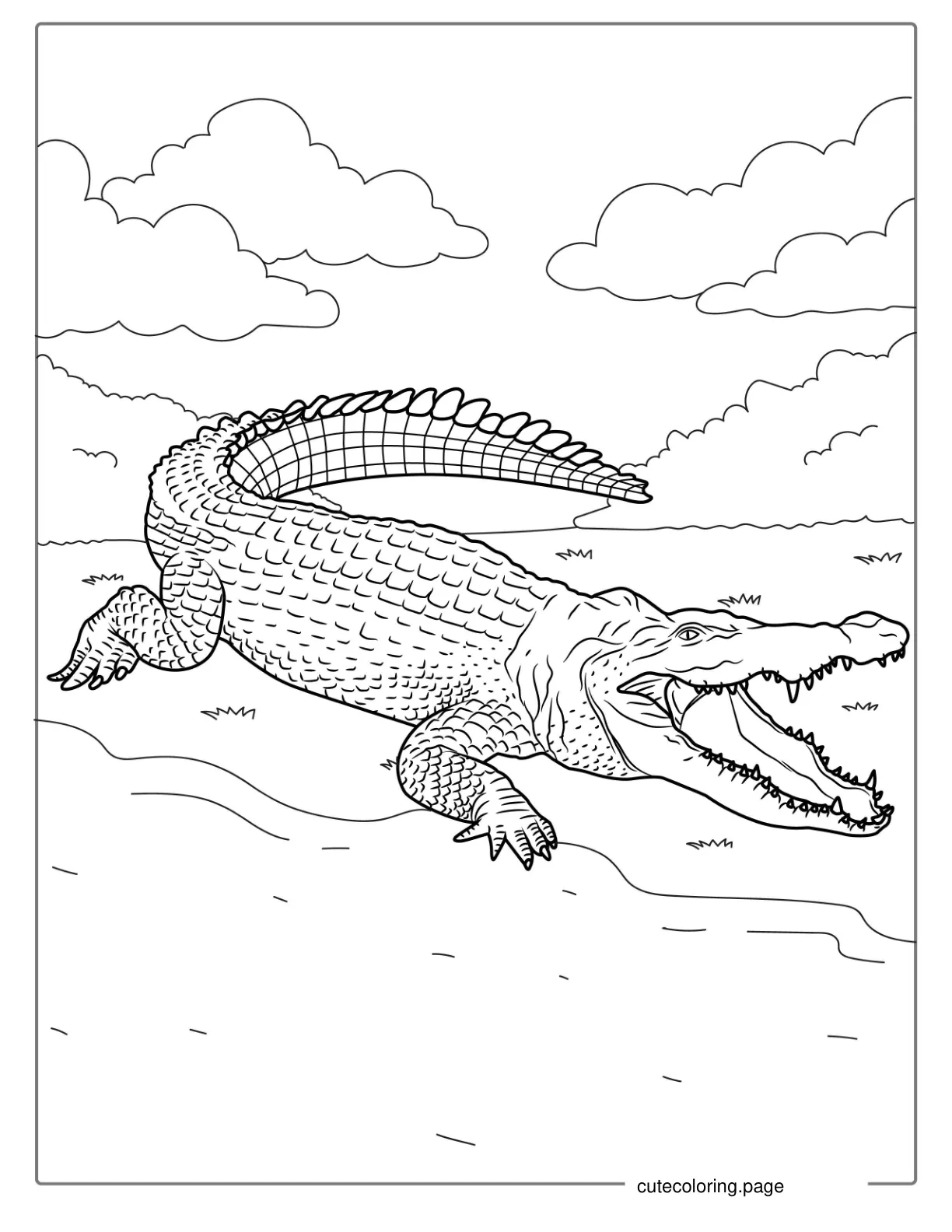 Detailed African Nile Crocodile To Color coloring page