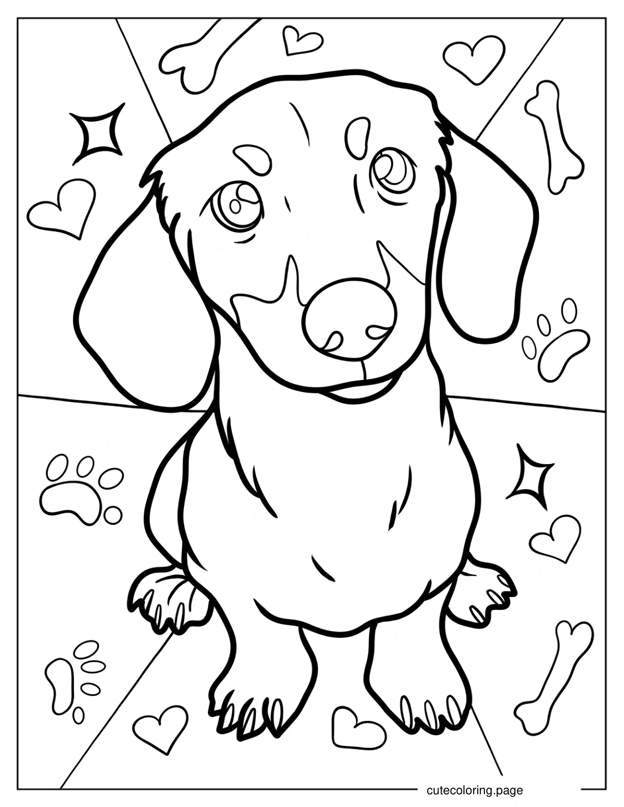 Close Up Of Dachshund Coloring Page coloring page