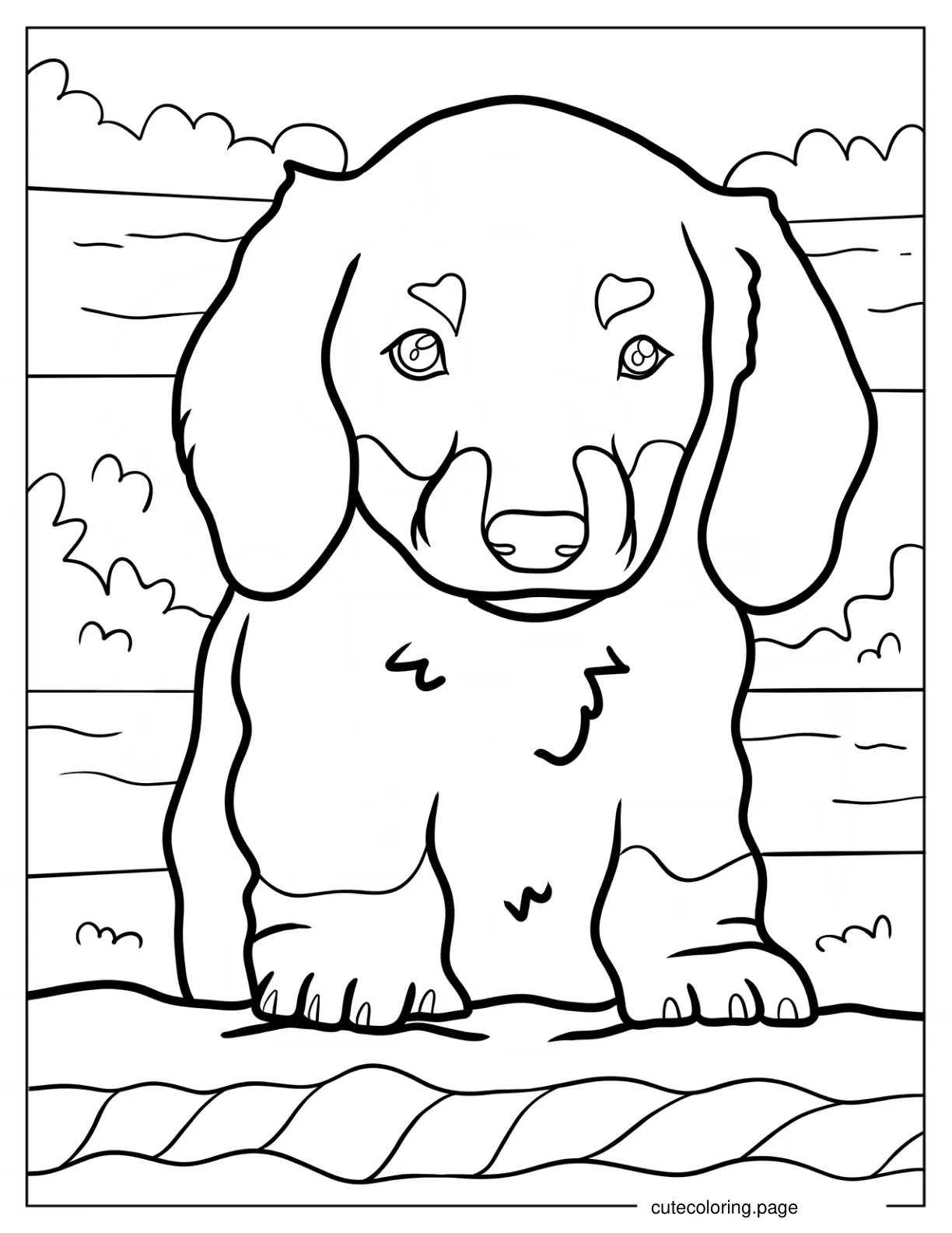 Cute Puppy Dachshund Coloring Page coloring page