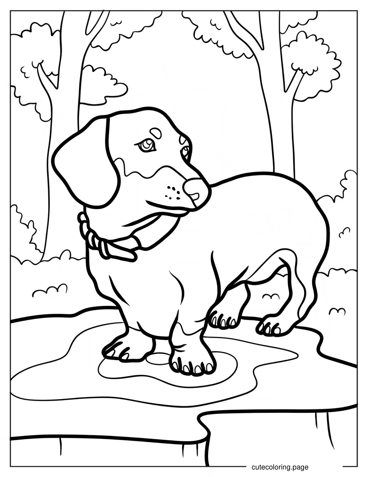 Puppy Dachshund In The Forest Coloring Page coloring page