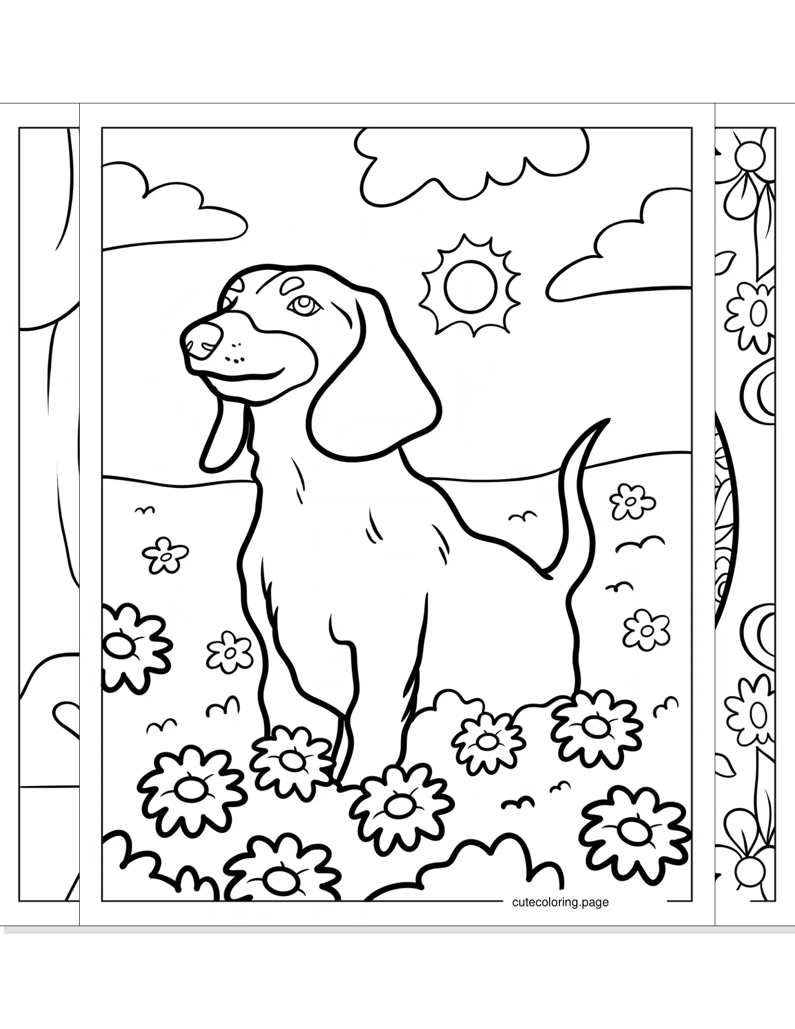 dachshund coloring pages coloring page