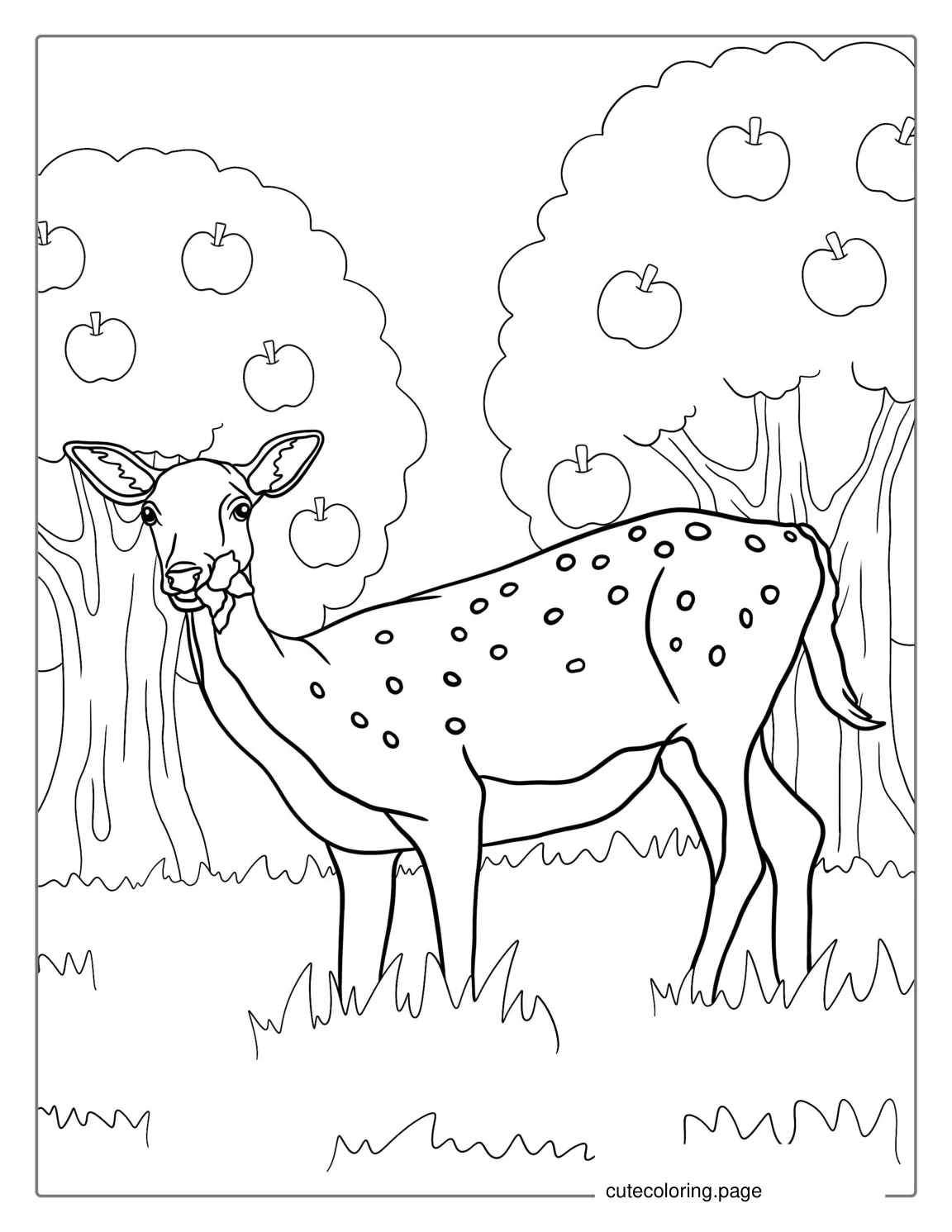 Deer Eating Grass In Forest To Color coloring page