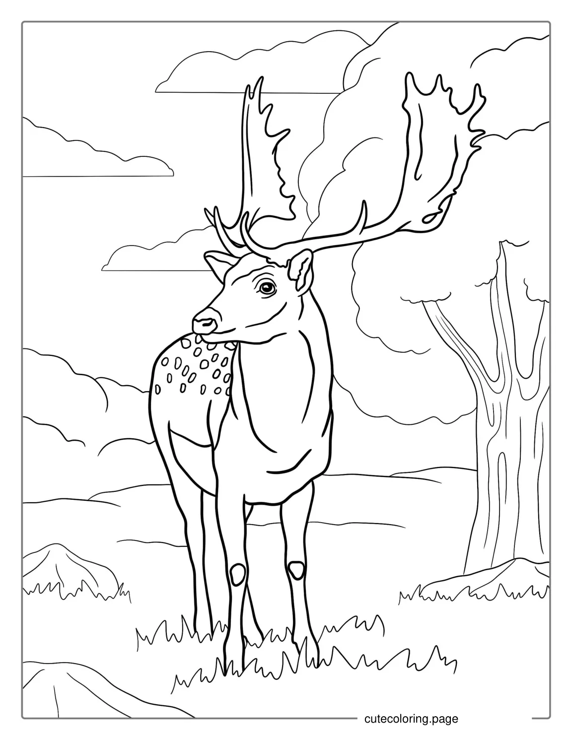 European Fallow Deer Coloring Page coloring page