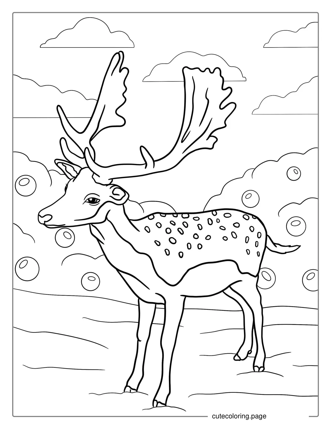 Fallow Deer Coloring Sheet For Kids coloring page