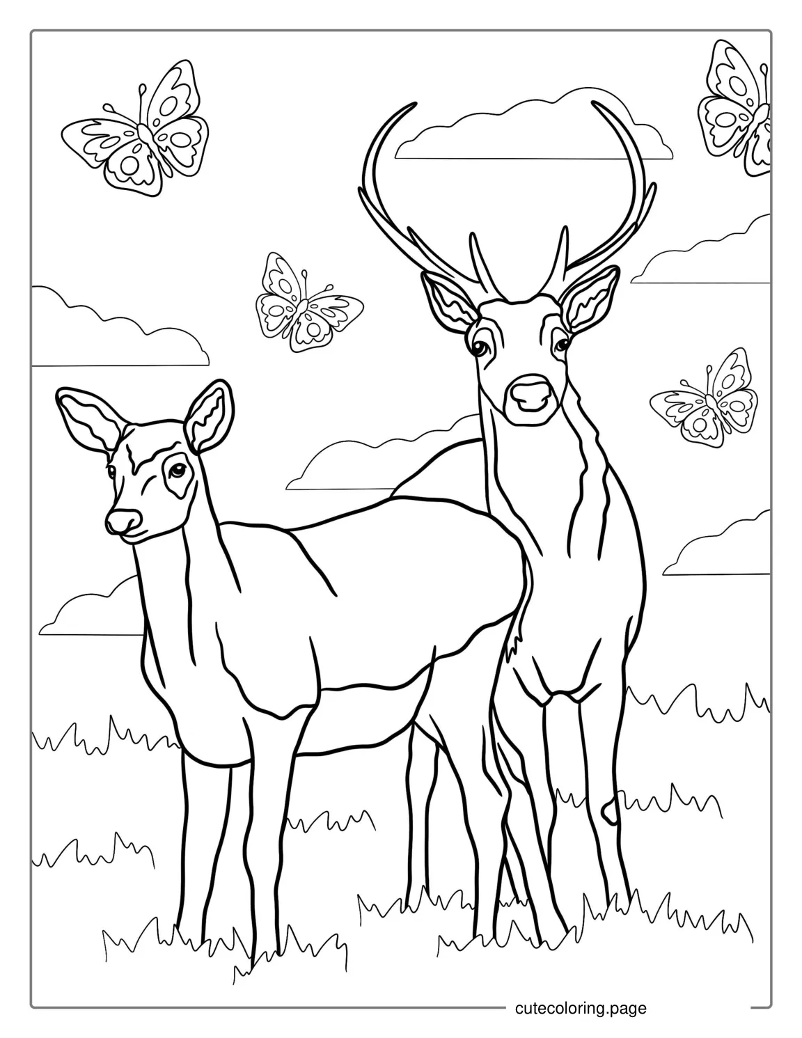 Male And Female Deer Coloring Page coloring page