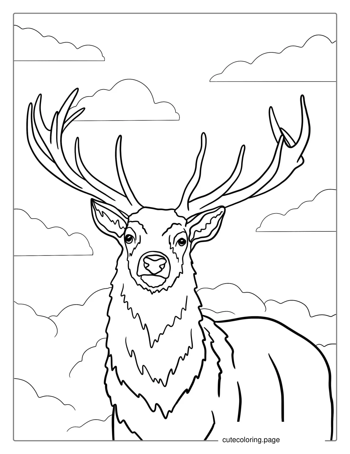 White Tailed Buck With Antlers To Color coloring page