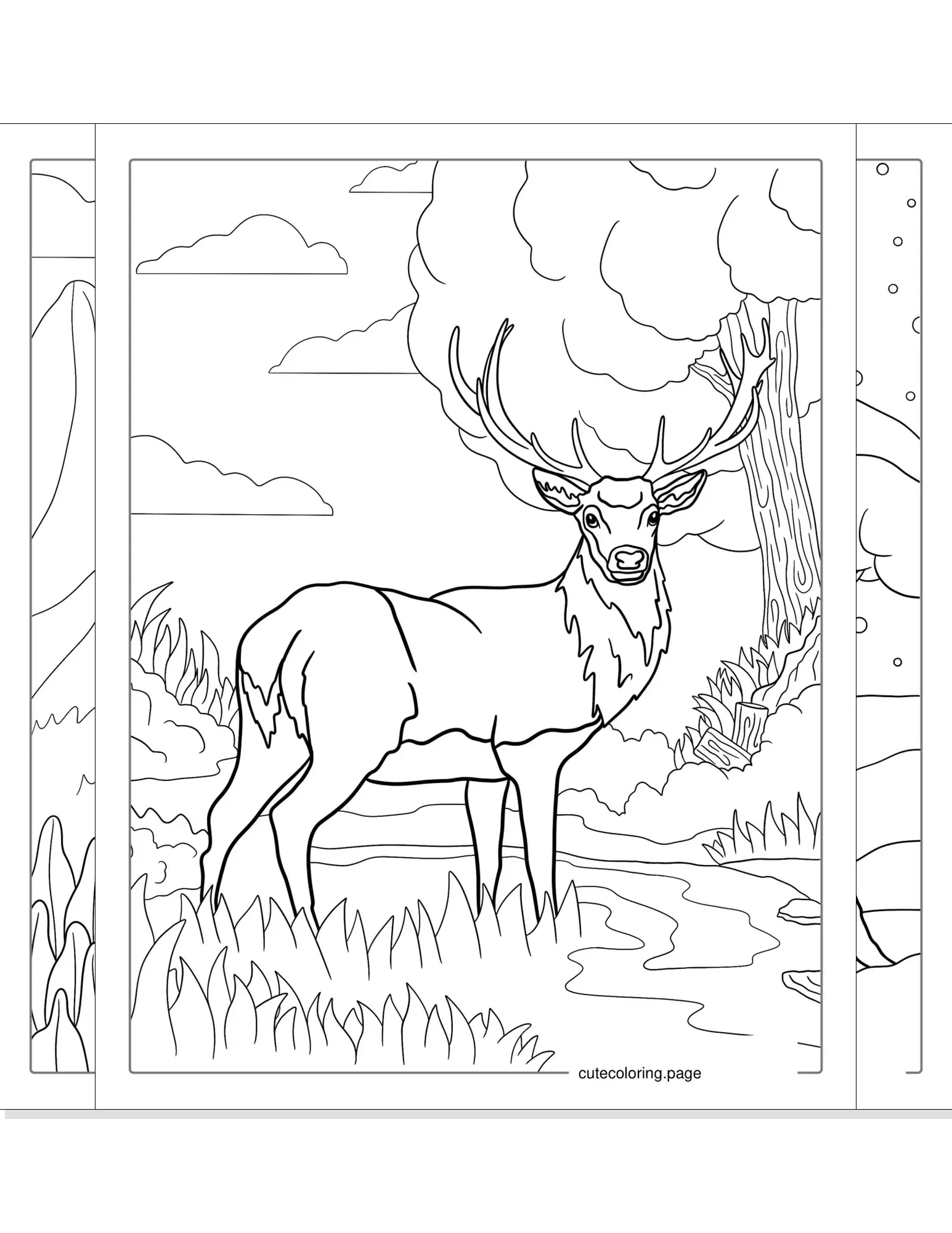 deer coloring pages coloring page