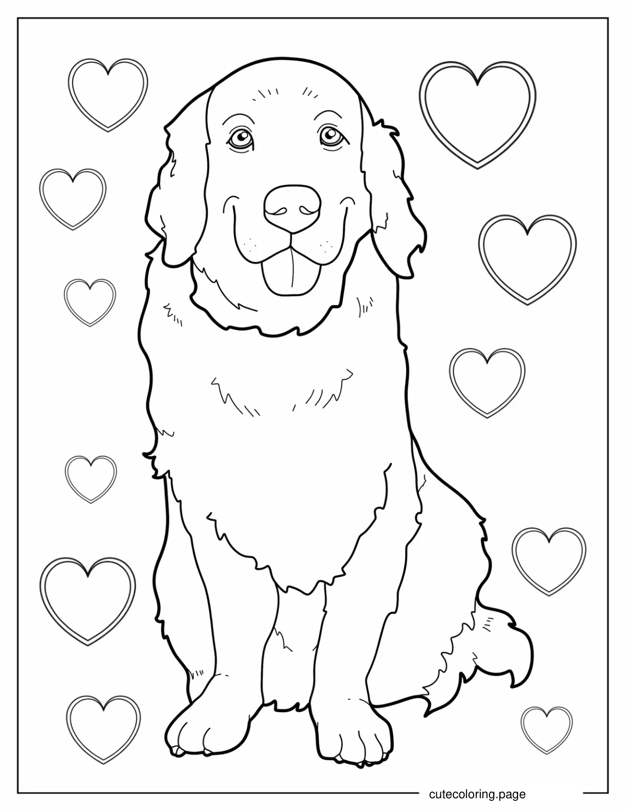 Adult Golden Retriever Coloring Page coloring page