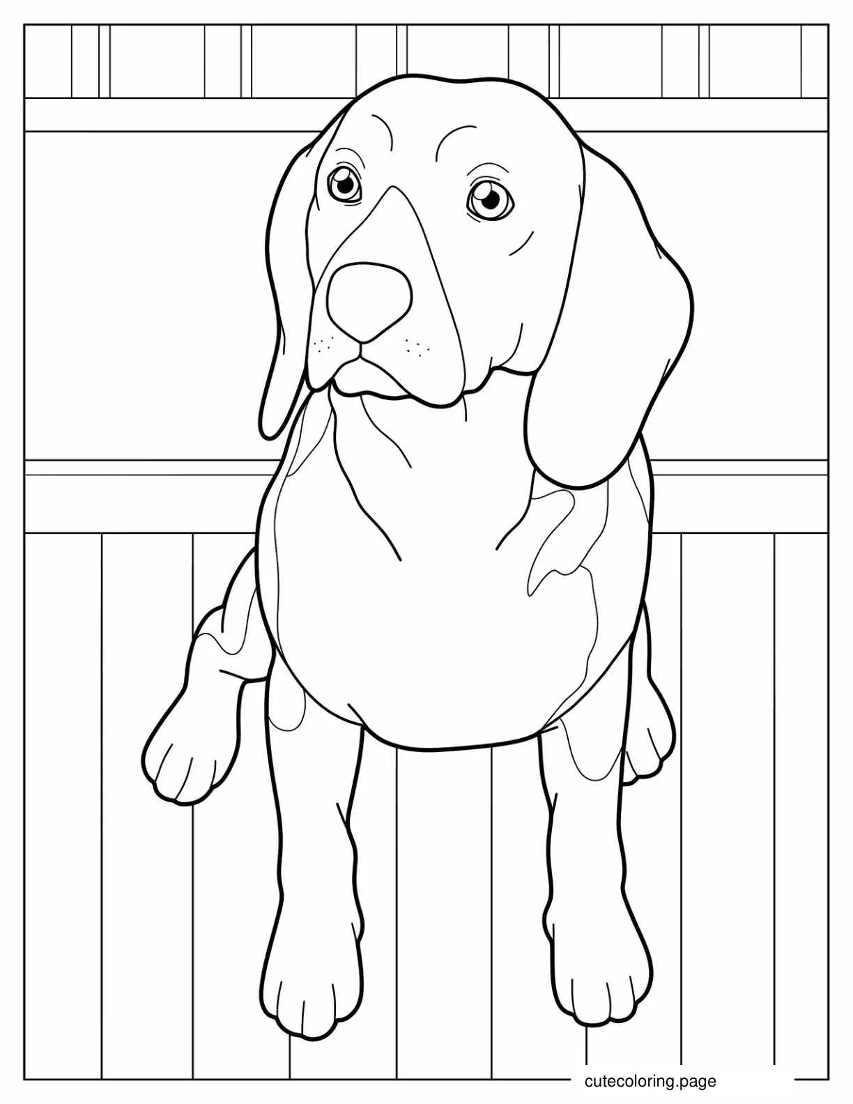 Alert Beagle Coloring Page coloring page