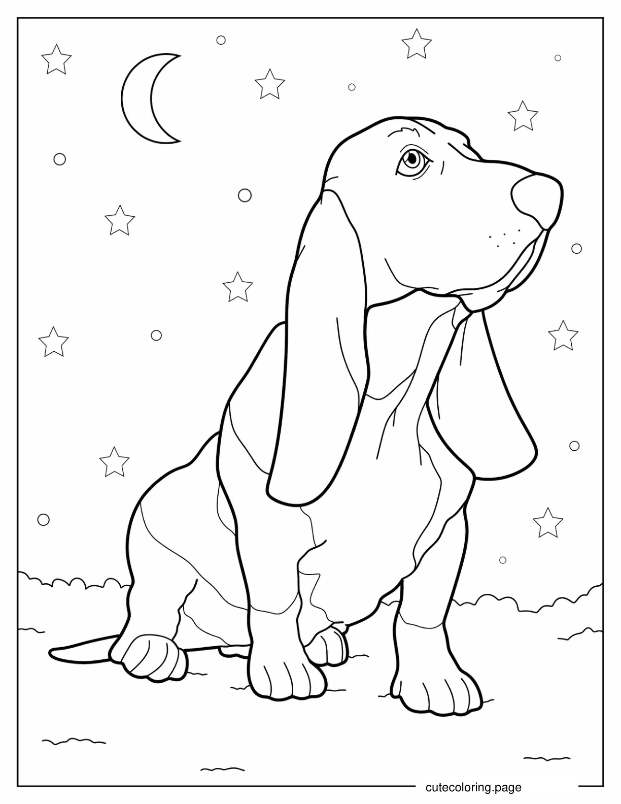 Basset Hound Looking Up coloring page