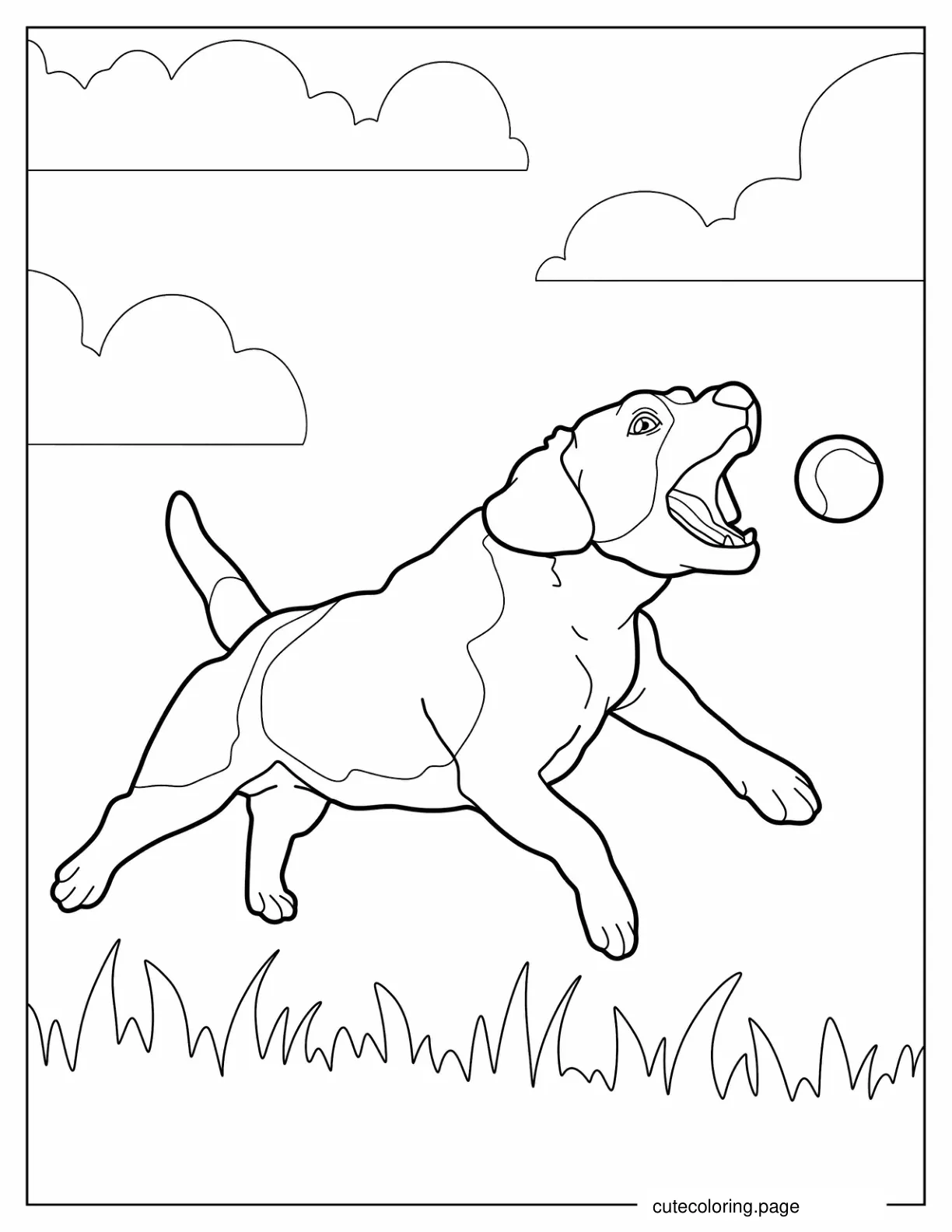 Beagle Chasing Ball To Color coloring page