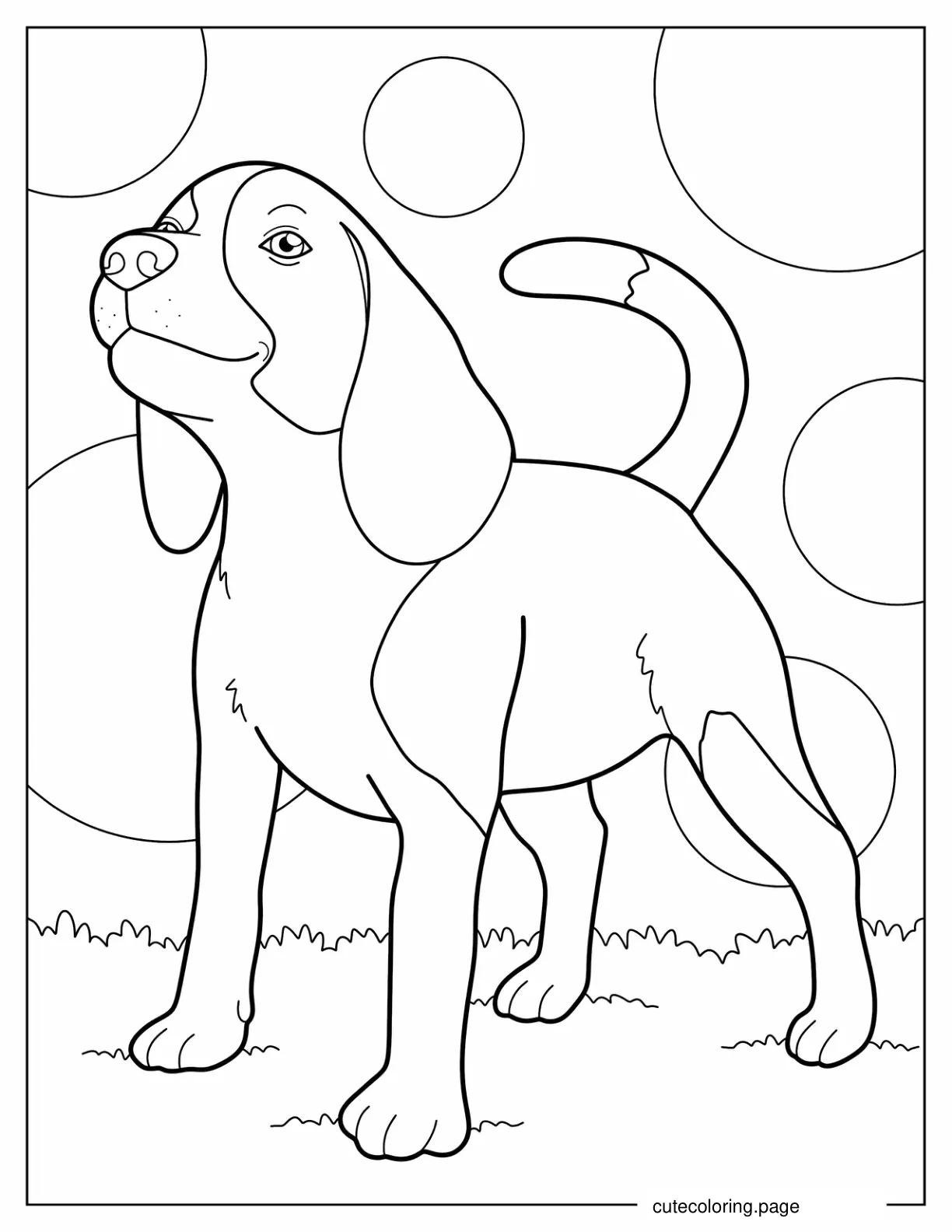 Beagle Puppy On Grass coloring page