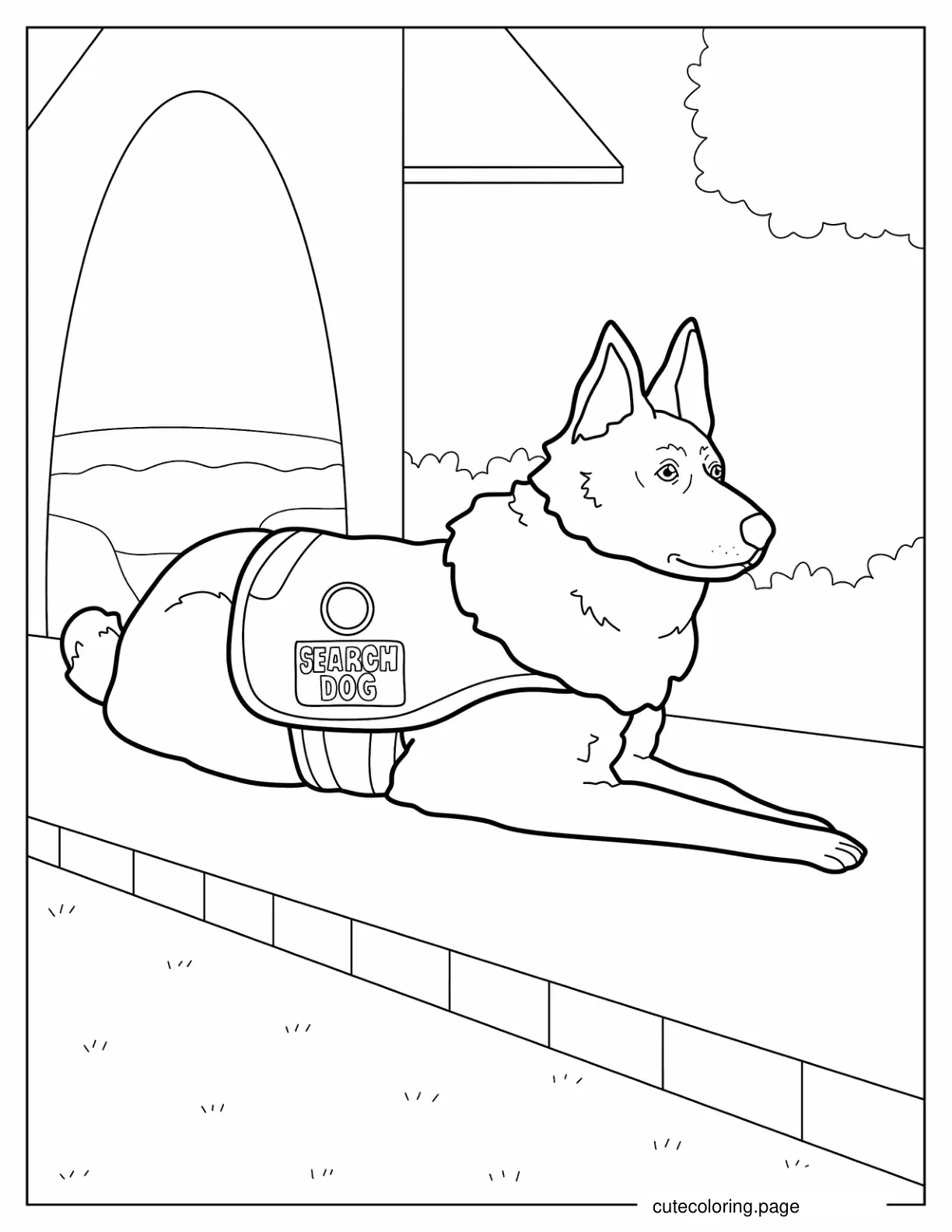 Belgian Malinois Search Dog To Color coloring page