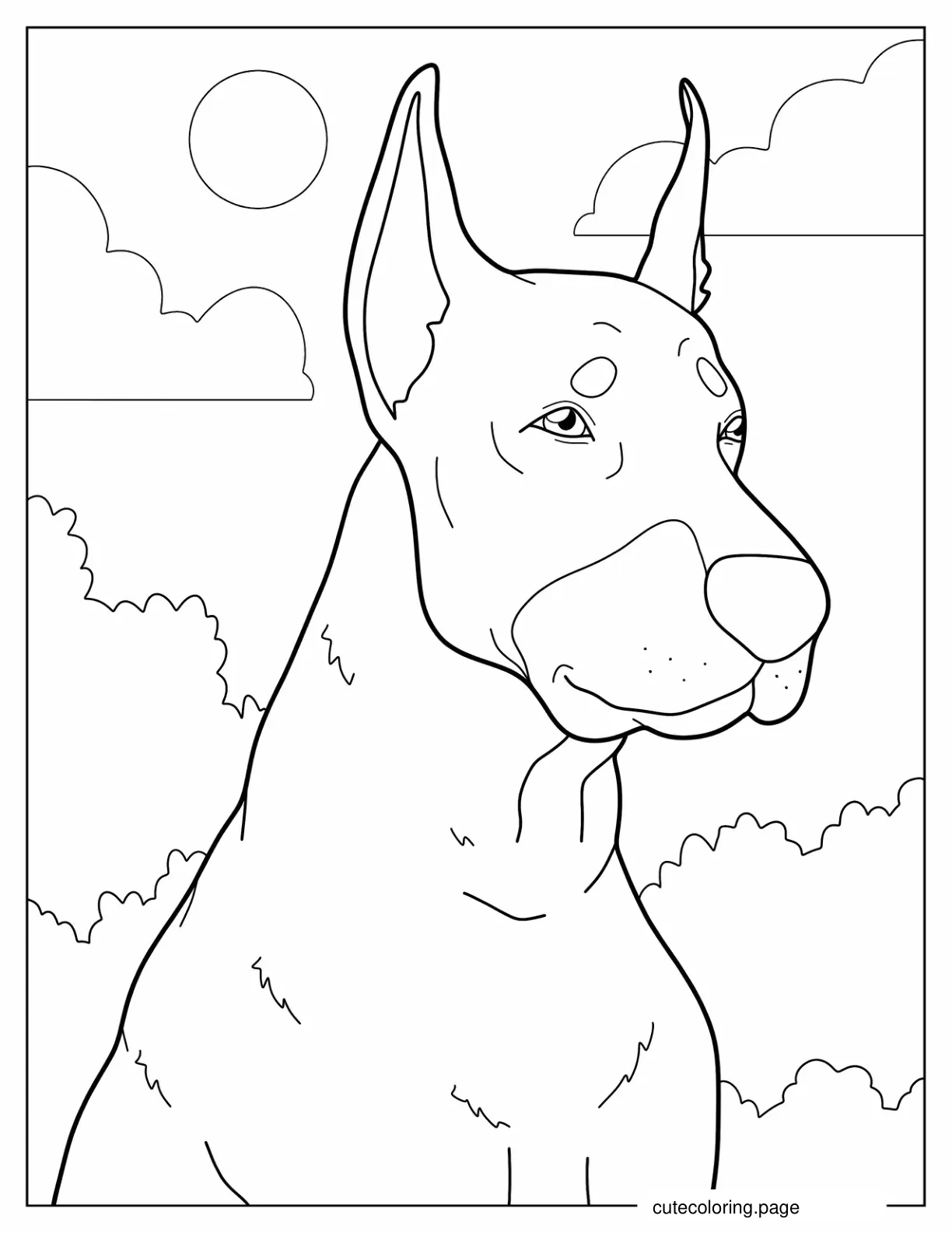 Close Up Of Alert Dobermann coloring page