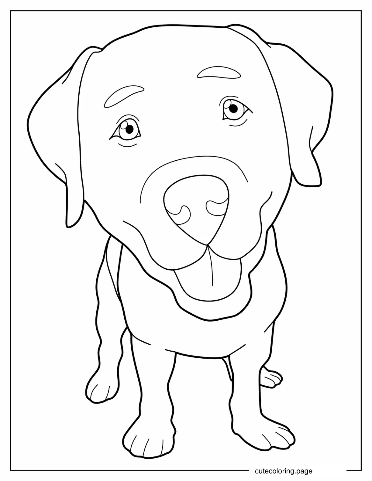 Close Up Of Dog Face Coloring Sheet coloring page