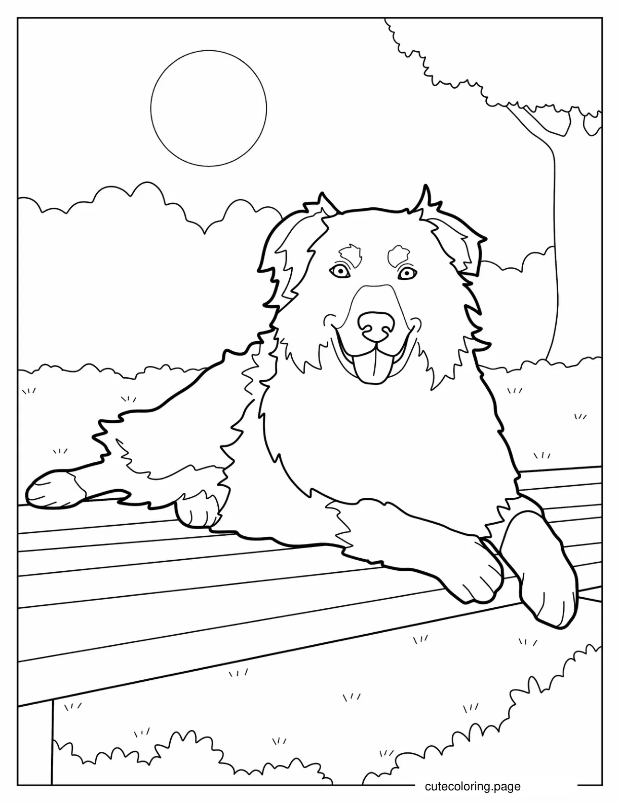 Coloring Page Of Realistic Australian Shepherd coloring page