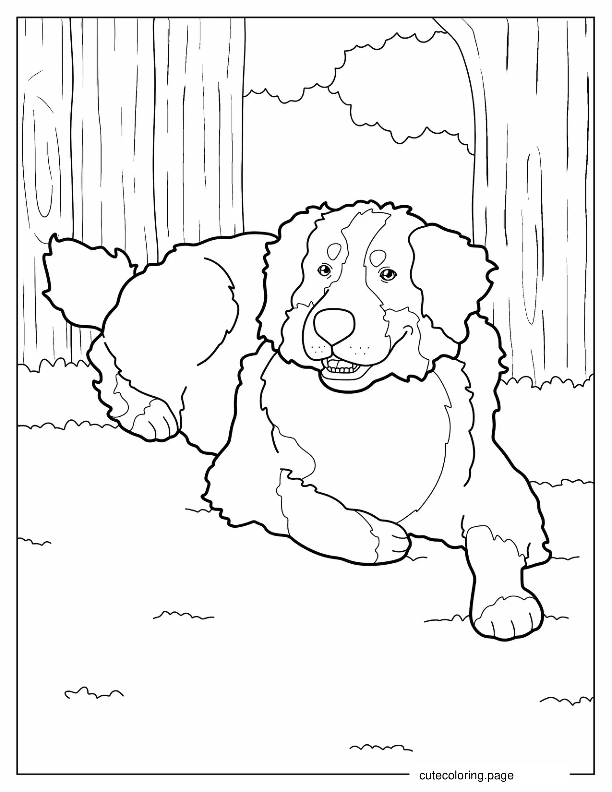 Coloring Sheet Of Bernese Mountain Dog Resting coloring page