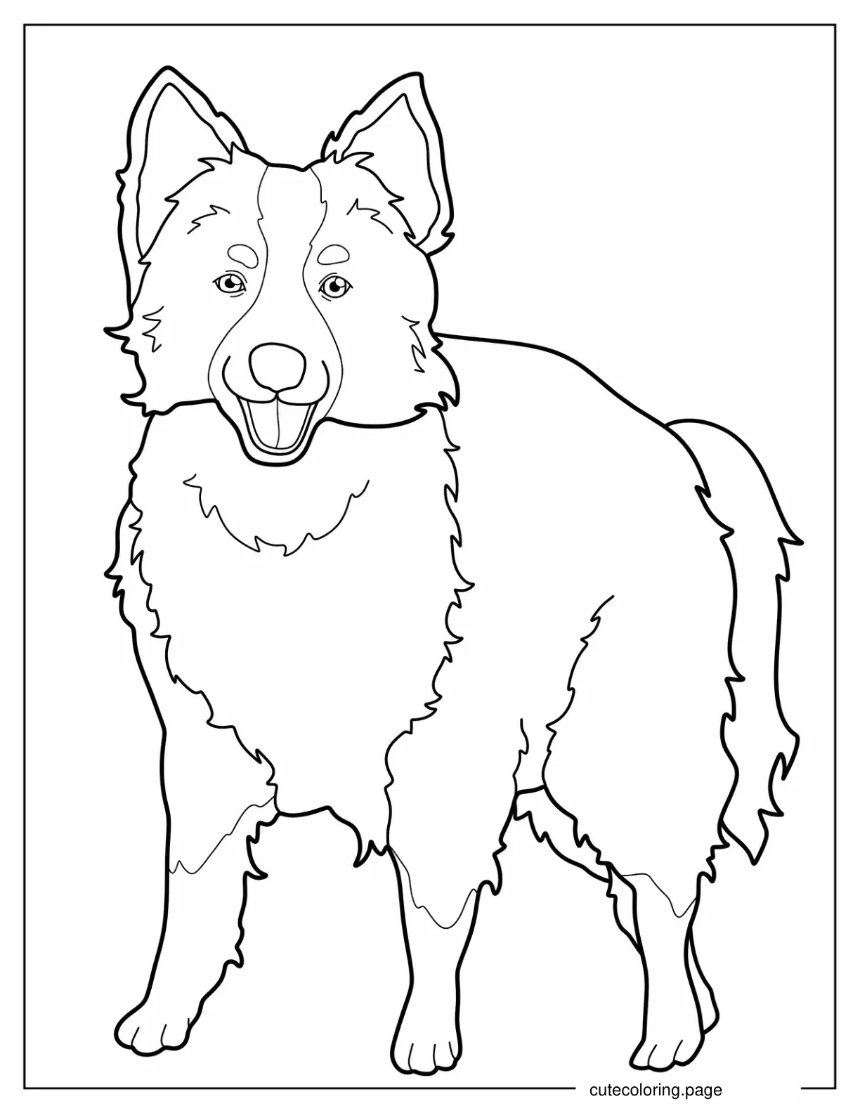 Coloring Sheet Of Border Collie Outline coloring page