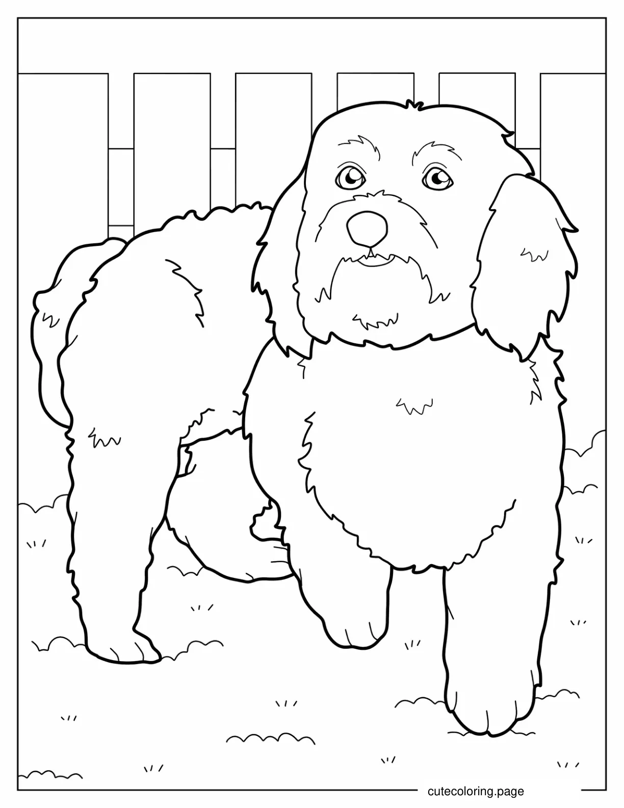 Coloring Sheet Of Maltese Dog With Paw Up coloring page