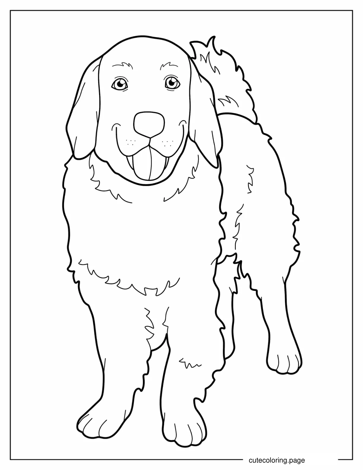 Easy Outline Of Labrador Retriever Coloring In coloring page