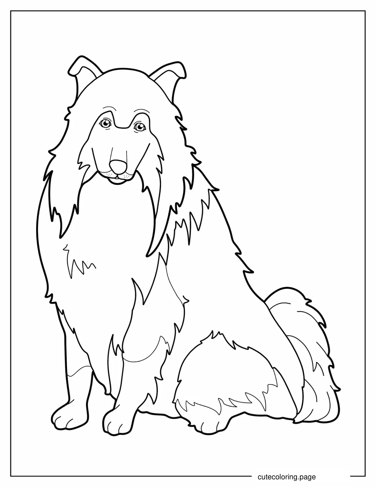 Easy Outline Of Rough Collie To Color coloring page