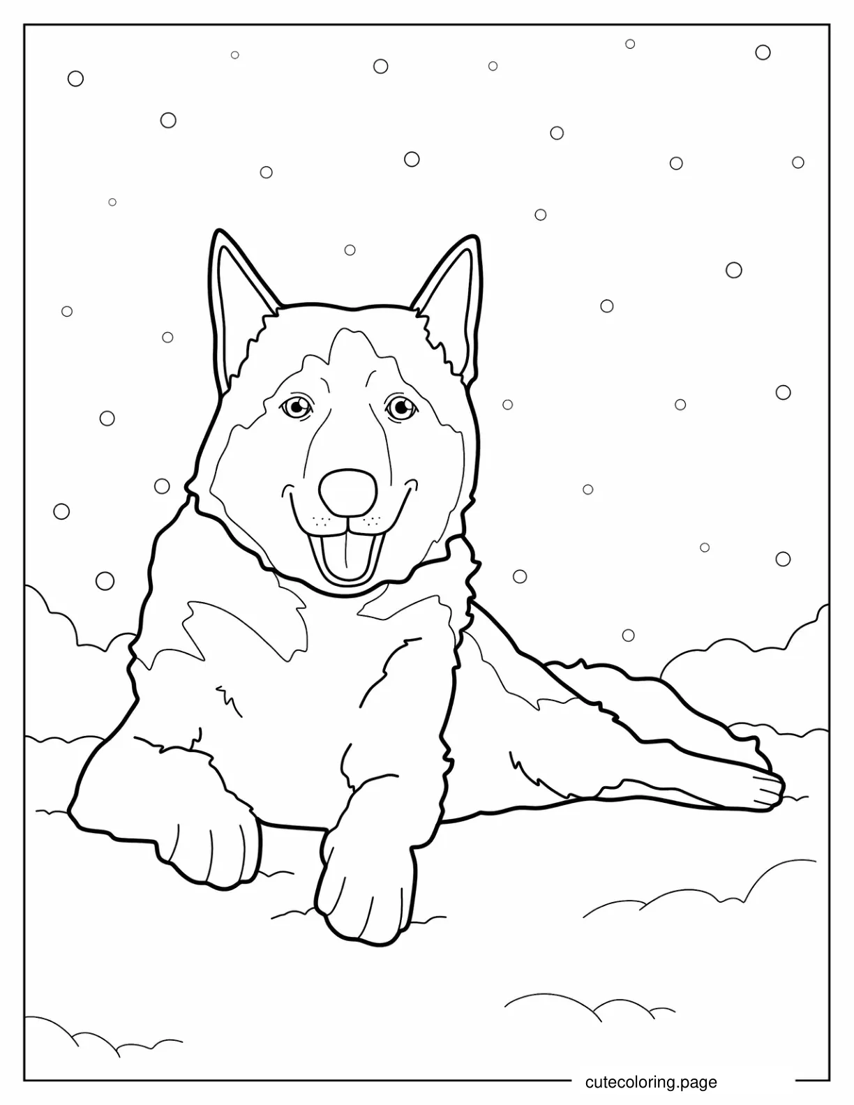 Husky In The Snow Coloring In coloring page