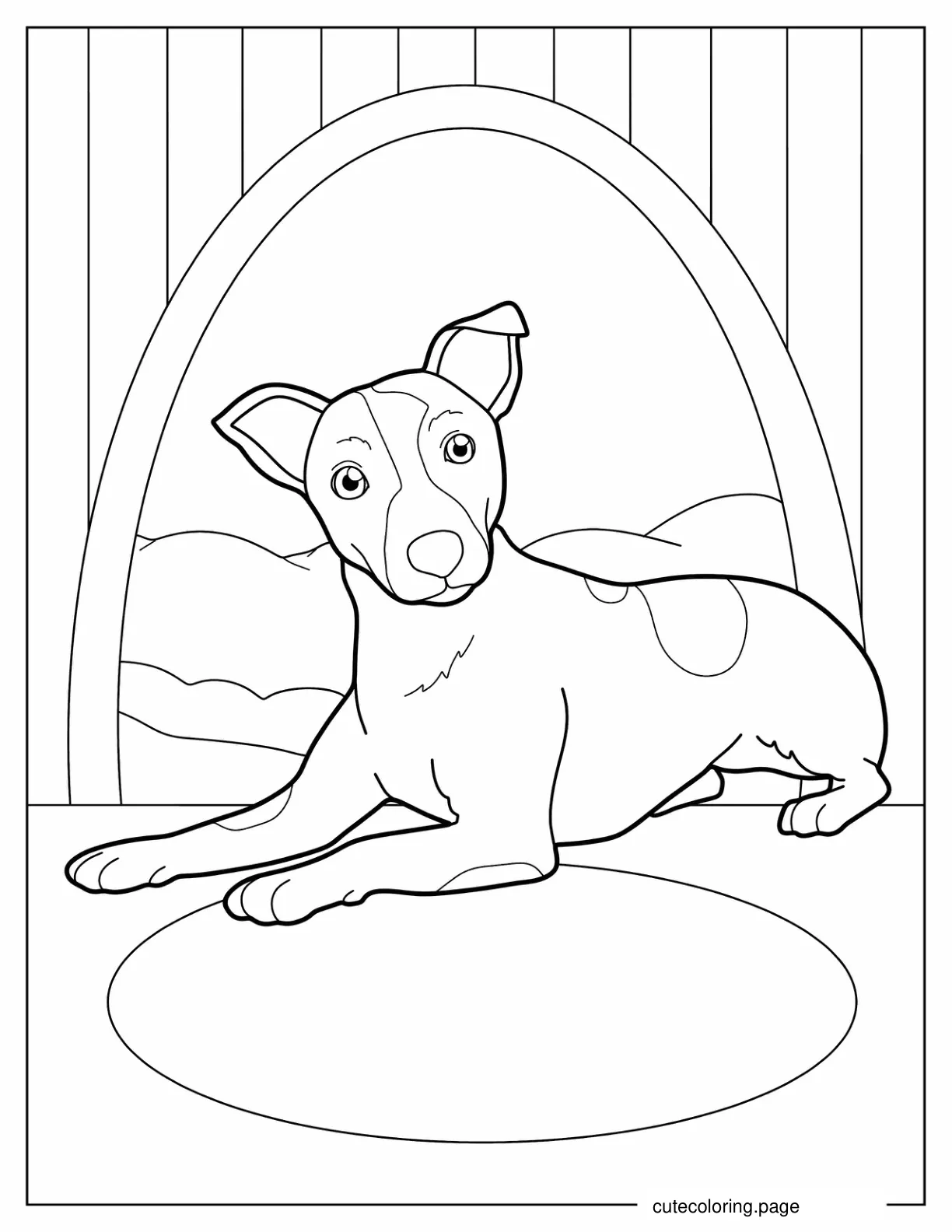 Jack Russell Terrier Puppy coloring page