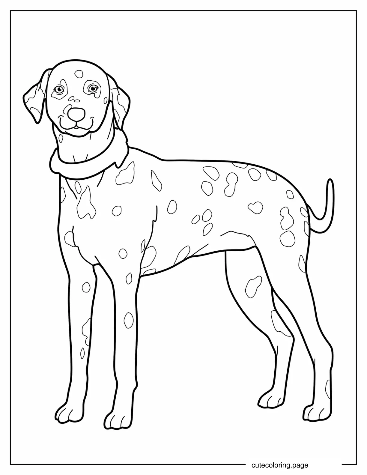 Large Dalmatian Dog Coloring Sheet coloring page