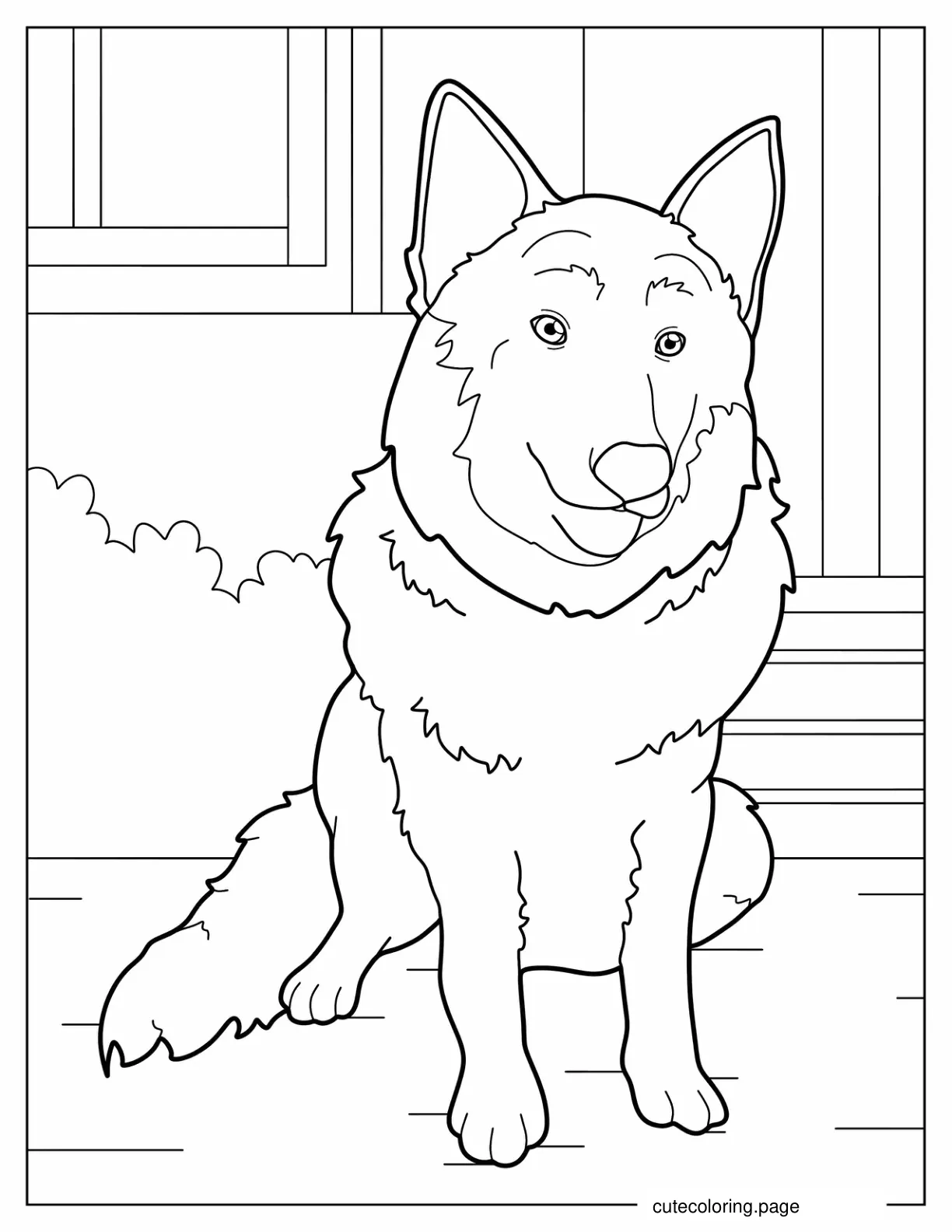 Outline Of Beglian Malinois Dog coloring page