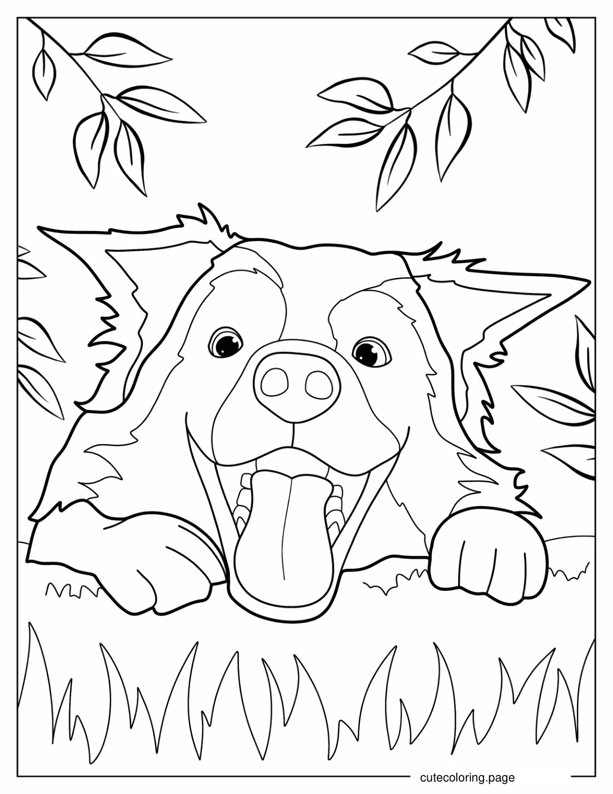 Playful Border Collie Puppy Face coloring page