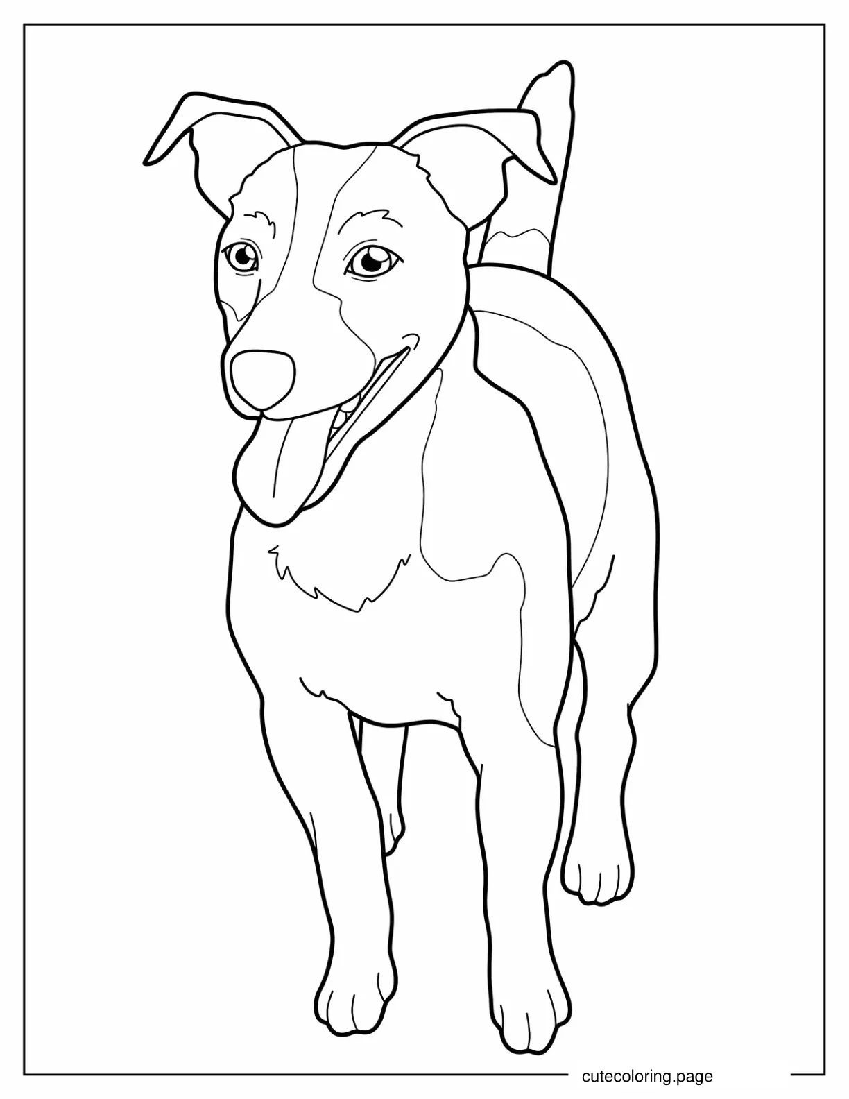 Playful Jack Russell Coloring Page For Kids coloring page