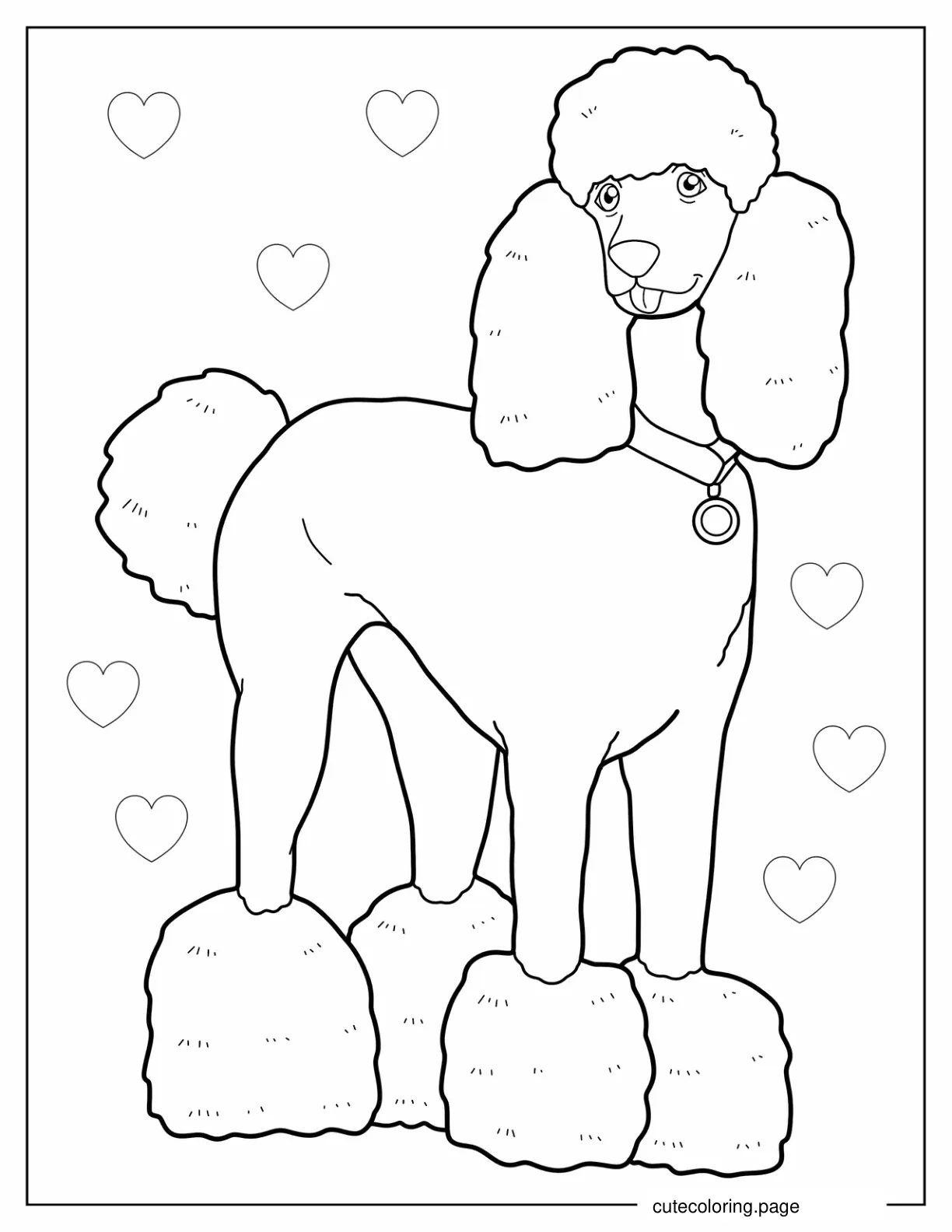 Poodle Dog With Collar coloring page