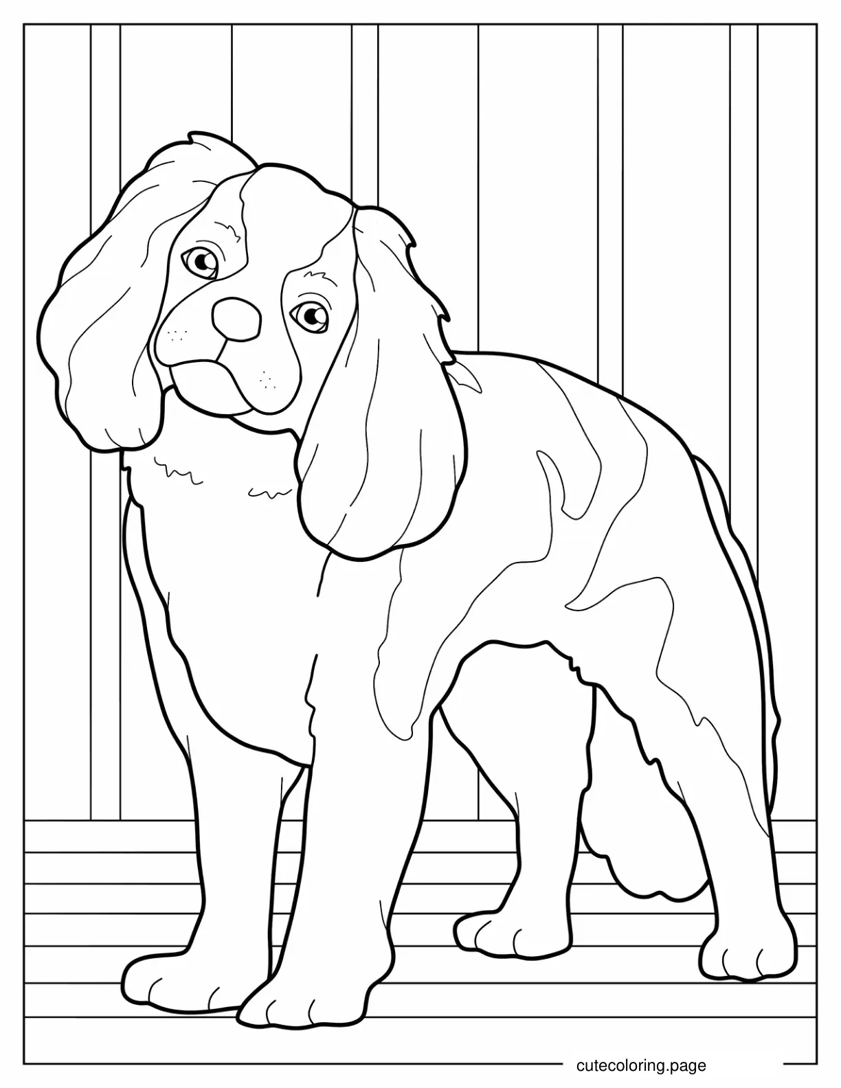 Pretty Spaniel Dog To Color coloring page