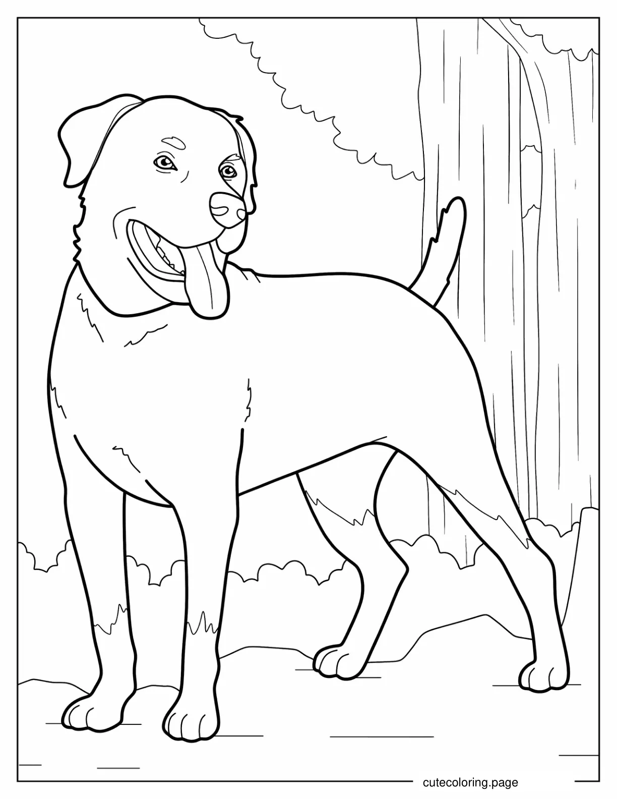 Rottweiler Dog Coloring Page coloring page