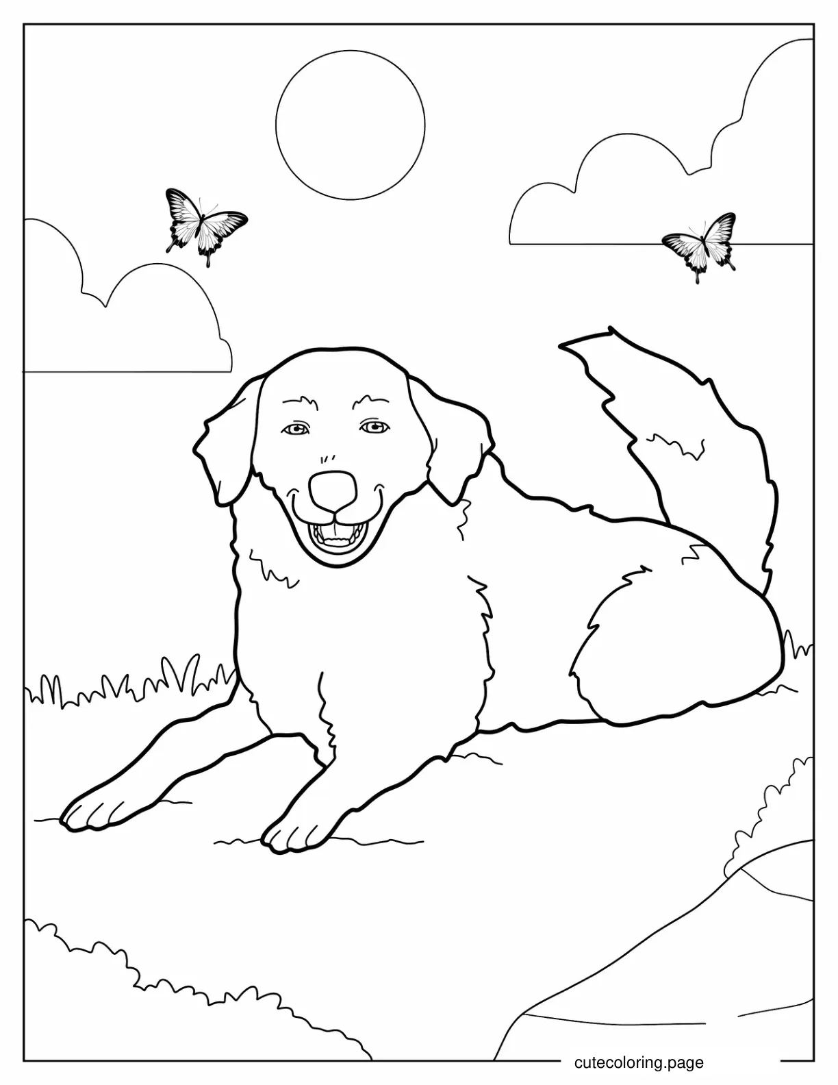 Sheepdog Resting In Field To Color coloring page