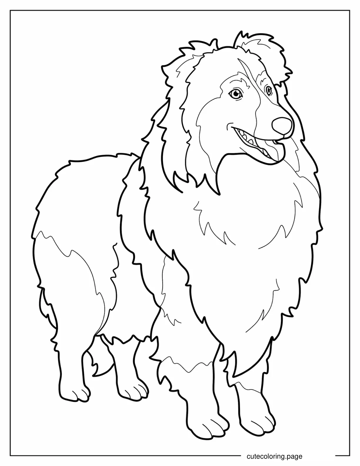 Sheltie Dog Outline For Coloring coloring page