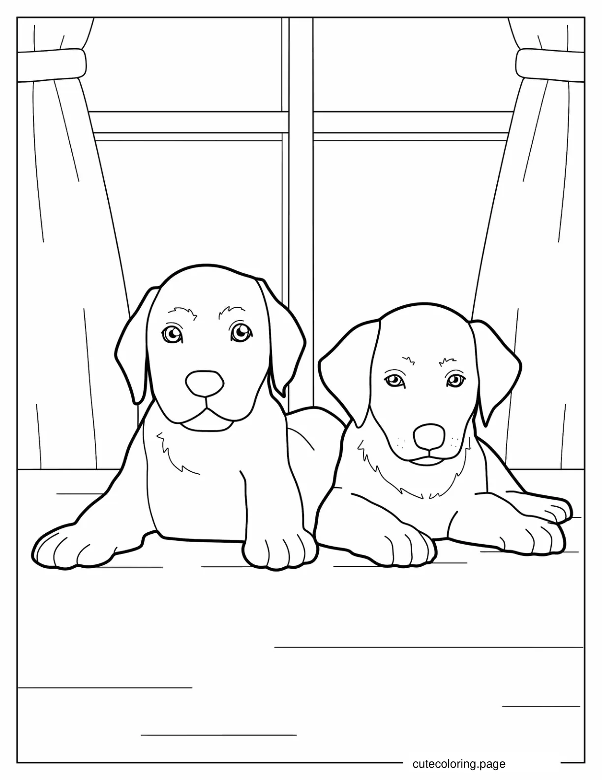 Two Cute Labrador Puppies Coloring Sheet coloring page