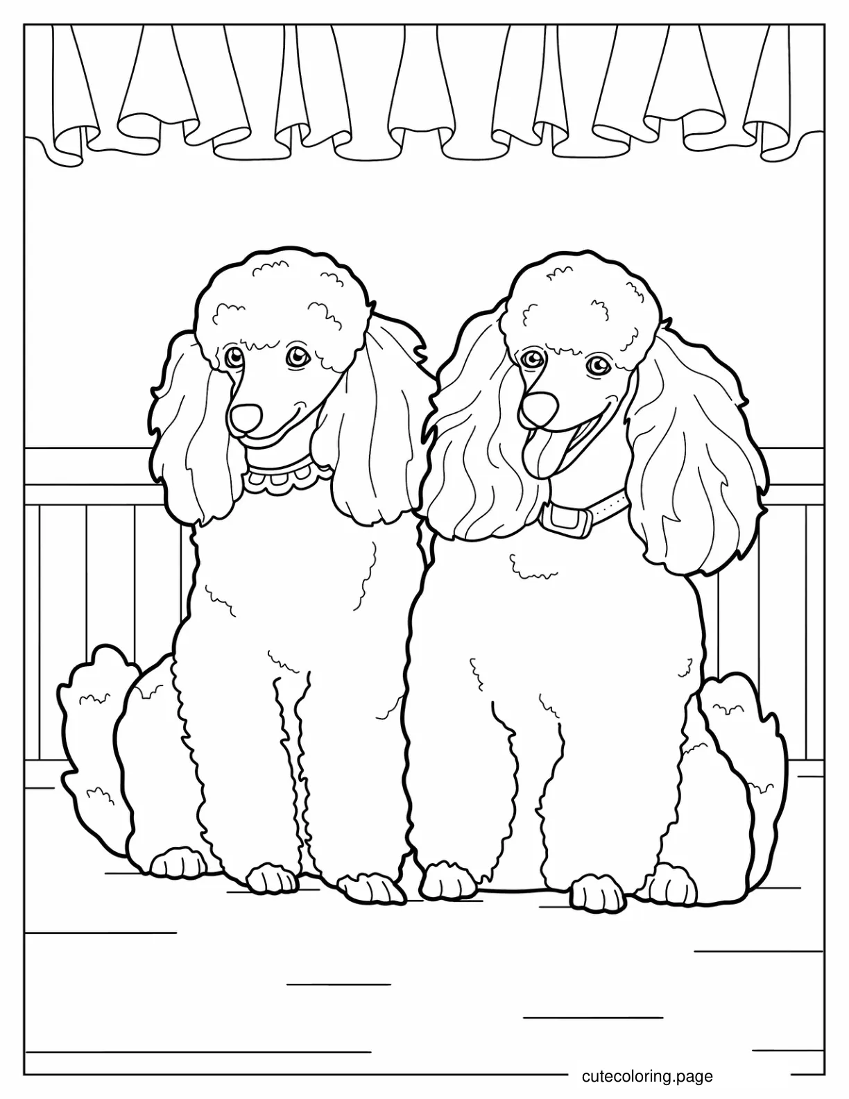 Two Miniature Poodles Smiling coloring page