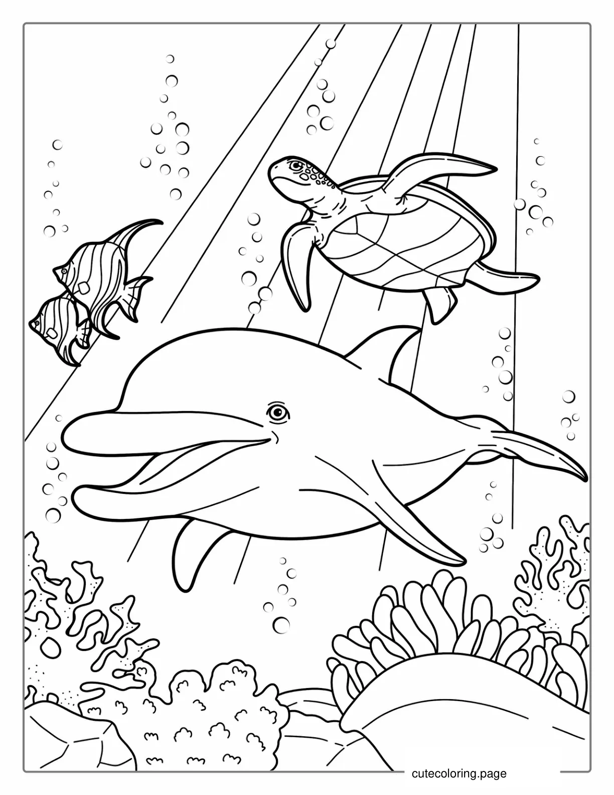 Dolphin Swimming With Fish And Turtle coloring page