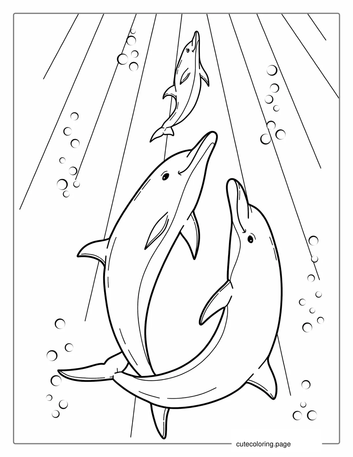 Pod Of Dolphins Underwater Coloring Page coloring page