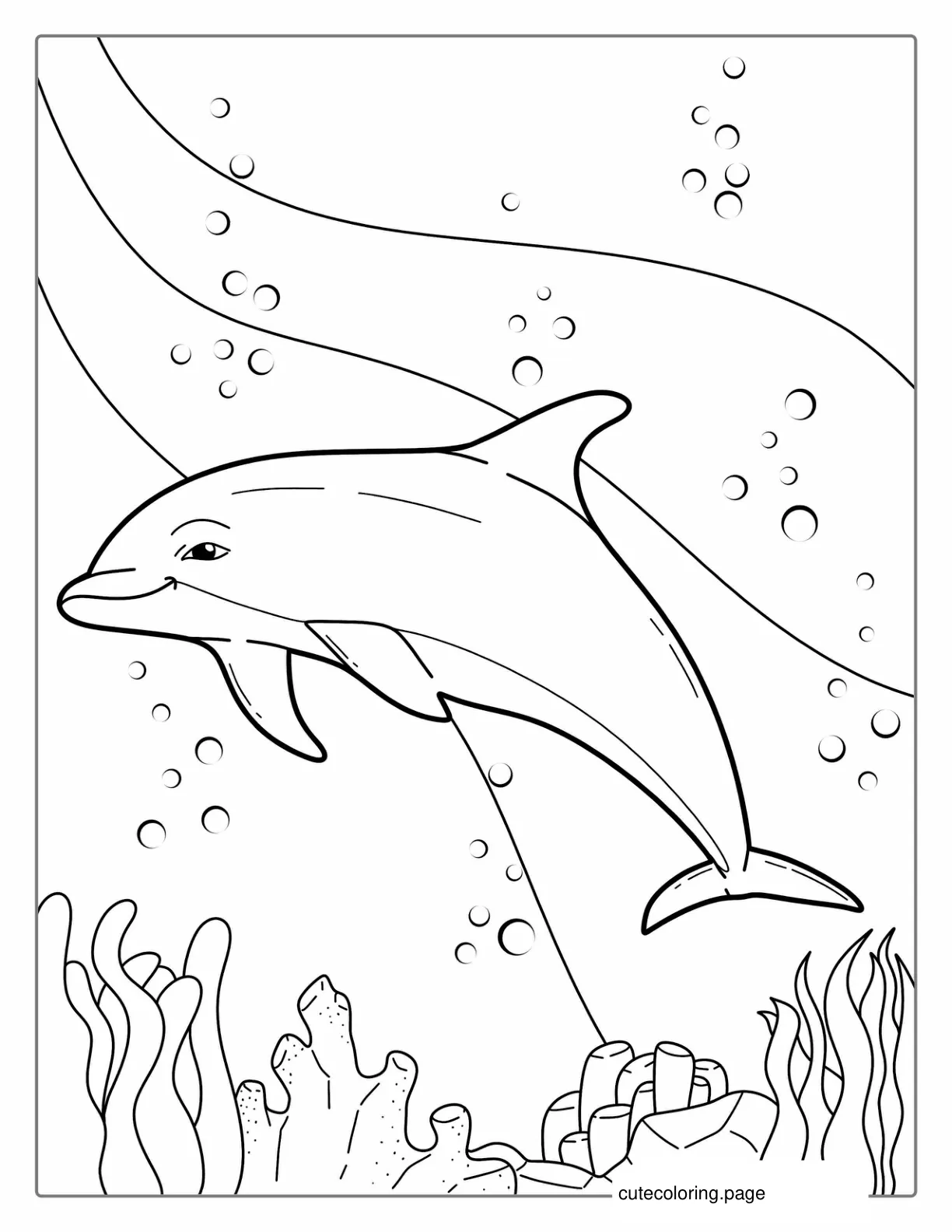 Striped Dolphin Coloring Page coloring page