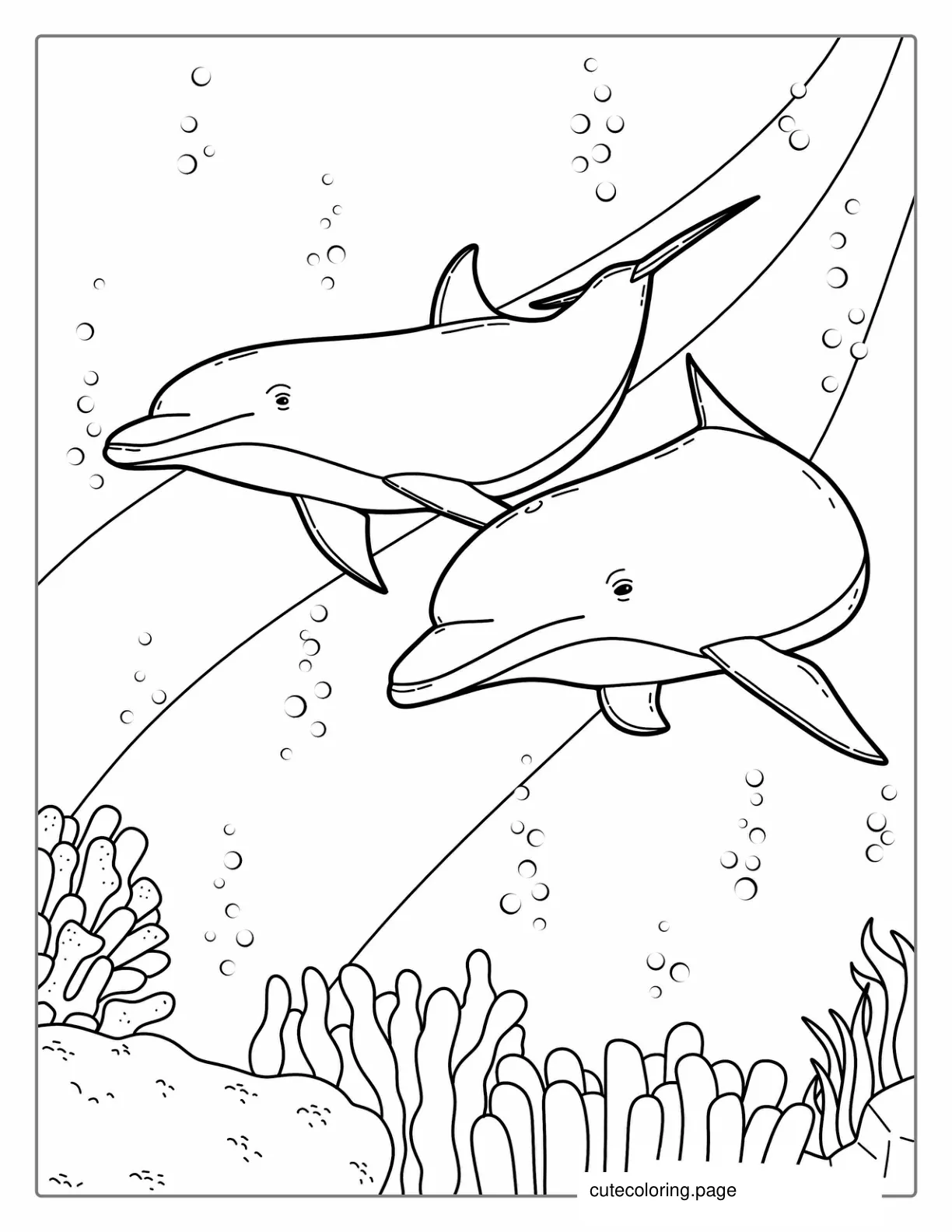 Two Dolphins Swimming On Reef Coloring Page coloring page