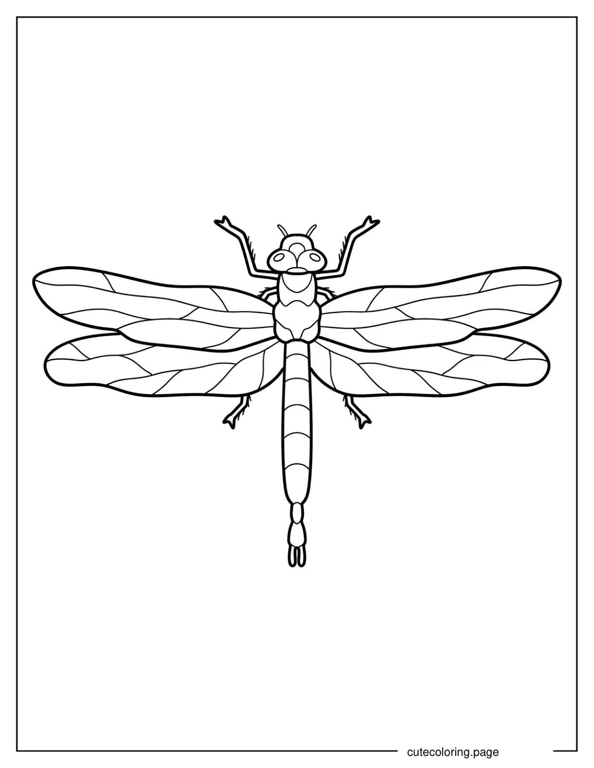 Easy Dragonfly With Detailed Parts Coloring Sheet 2 coloring page