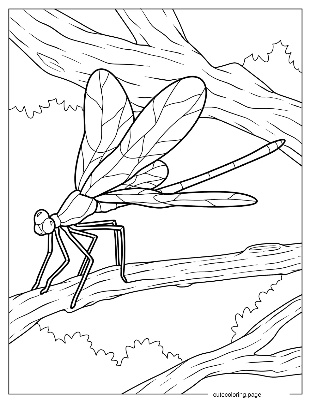 Realistic Dragonfly On Tree Branch 2 coloring page