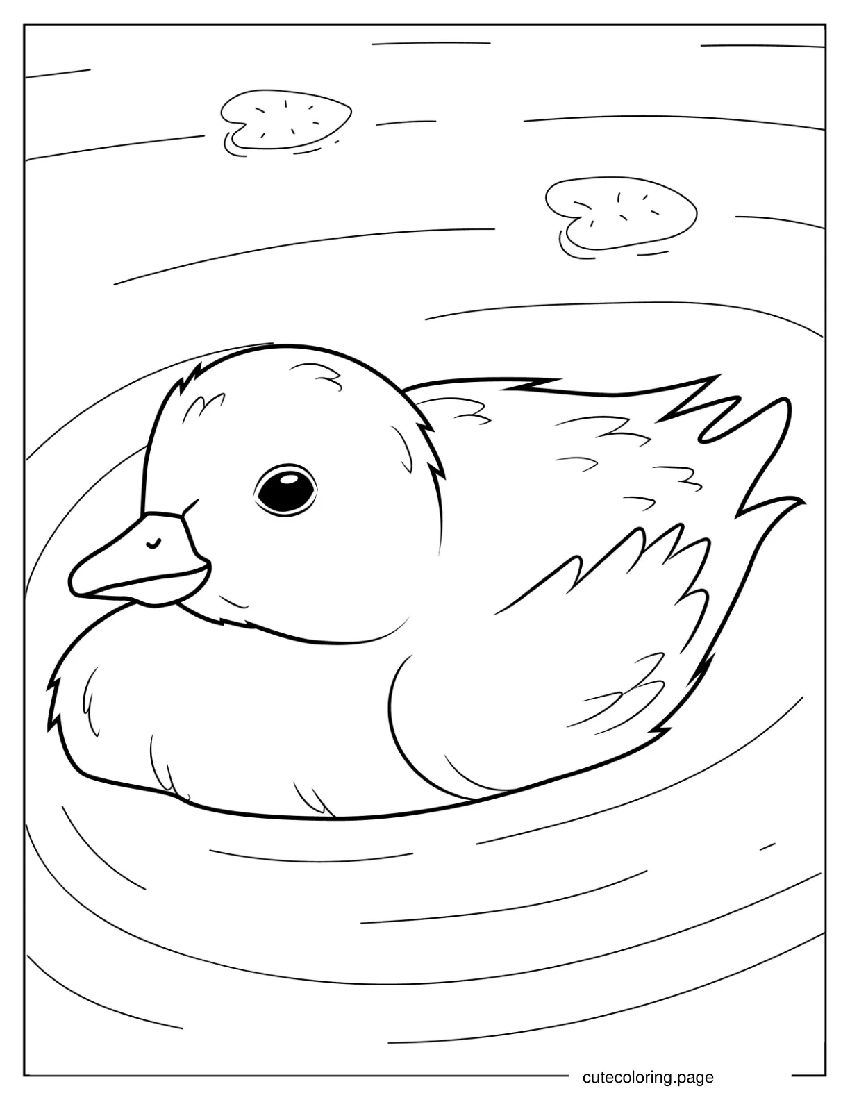 Adorable Duckling Floating In Pond coloring page