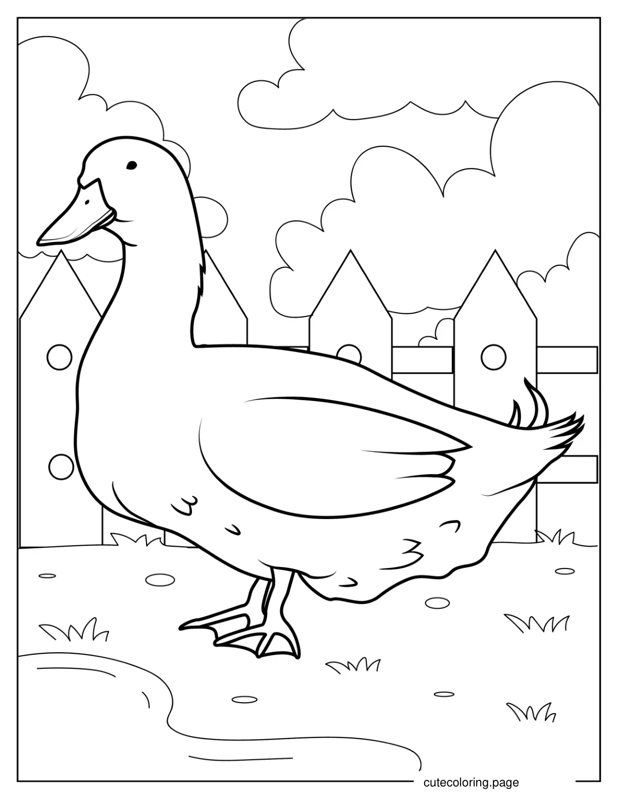 Farm Duck Coloring Page coloring page