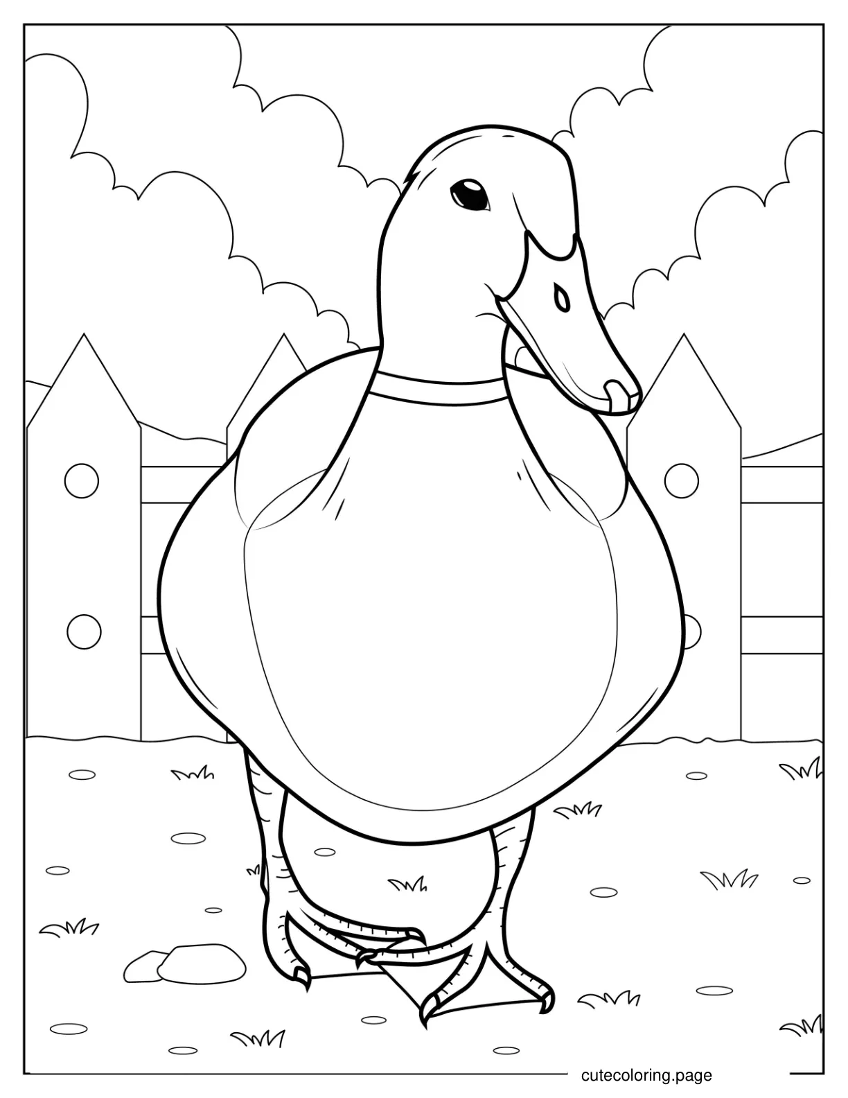 Mallard Duck Coloring Page coloring page